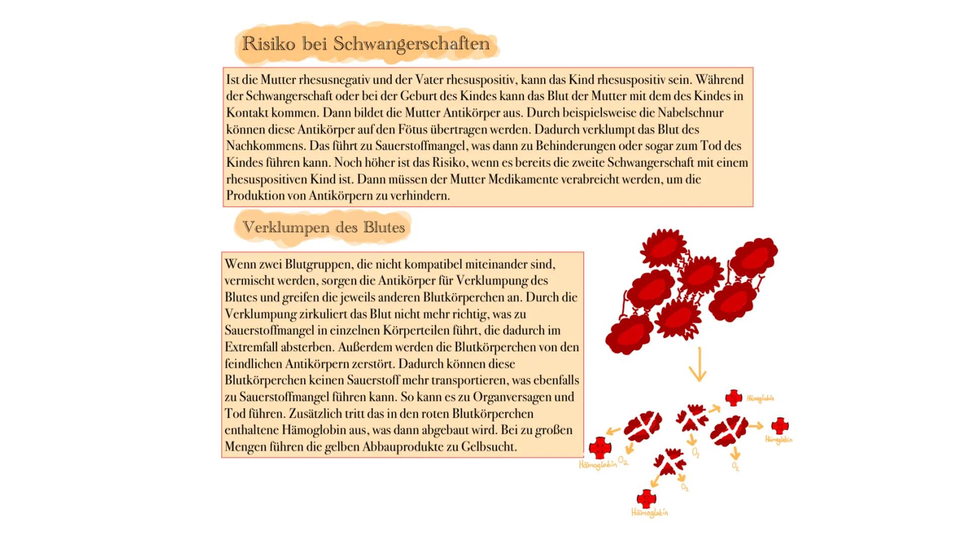 # Blutgruppen

AB0-System, Rhesusfaktor und mehr ## ABO-System

Nach dem ABo-System gibt es vier verschiedene Blutgruppen:
A, B, AB und o (n