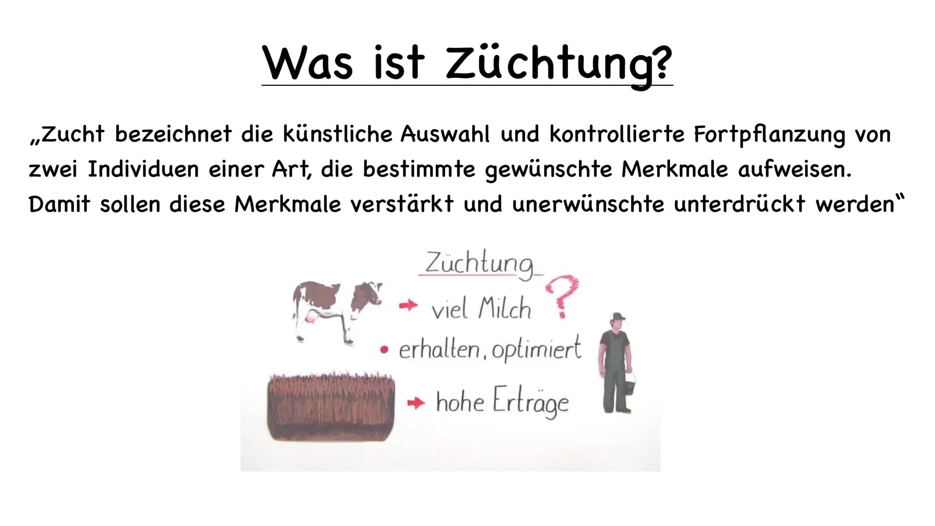 11 554
Tier und Pflanzenzucht
e
000.00 Name der Schule
Biologie 10/23
Fachlehrer:
Name :
1.) Was ist Züchtung
- künstliche Auswahl
- kontrol