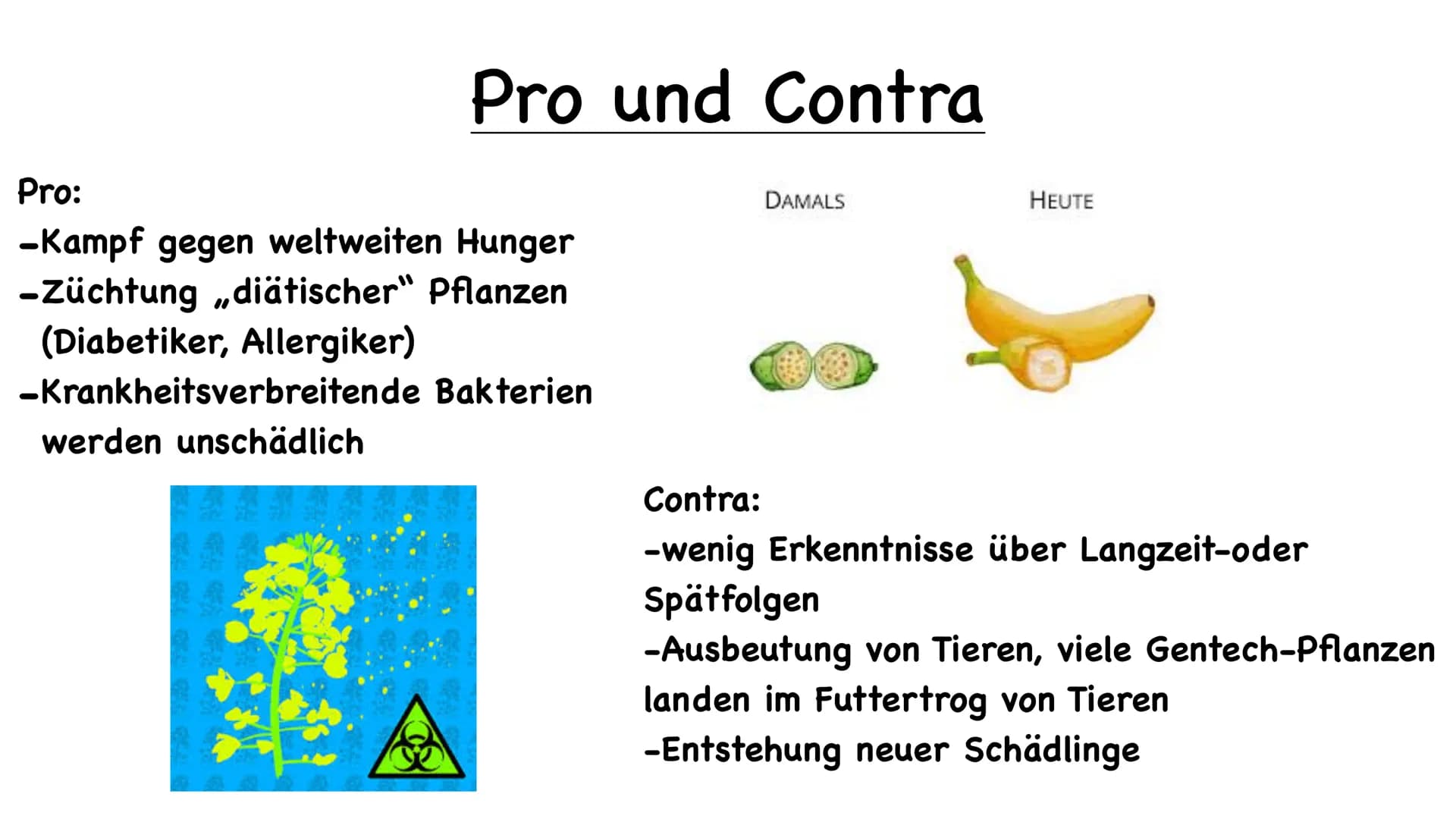 11 554
Tier und Pflanzenzucht
e
000.00 Name der Schule
Biologie 10/23
Fachlehrer:
Name :
1.) Was ist Züchtung
- künstliche Auswahl
- kontrol