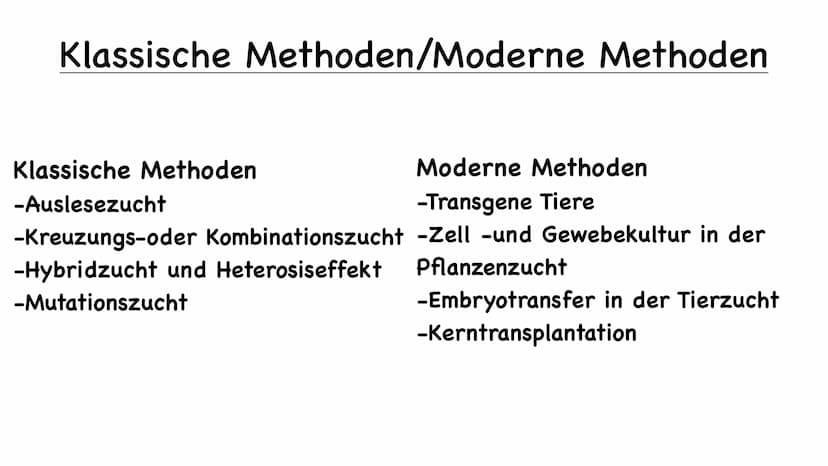 11 554
Tier und Pflanzenzucht
e
000.00 Name der Schule
Biologie 10/23
Fachlehrer:
Name :
1.) Was ist Züchtung
- künstliche Auswahl
- kontrol