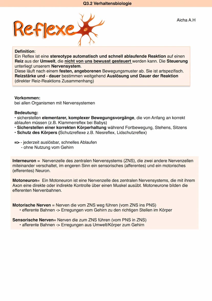 Zns
&
Pns
Q3.2 Verhaltensbiologie
ZNS
Großhirn
Zwischenhirn
Himstamm
Rückenmark
Rückenmark + Gehirn
Hypothalamus
Hinnanhangsdrüse
verarbeite