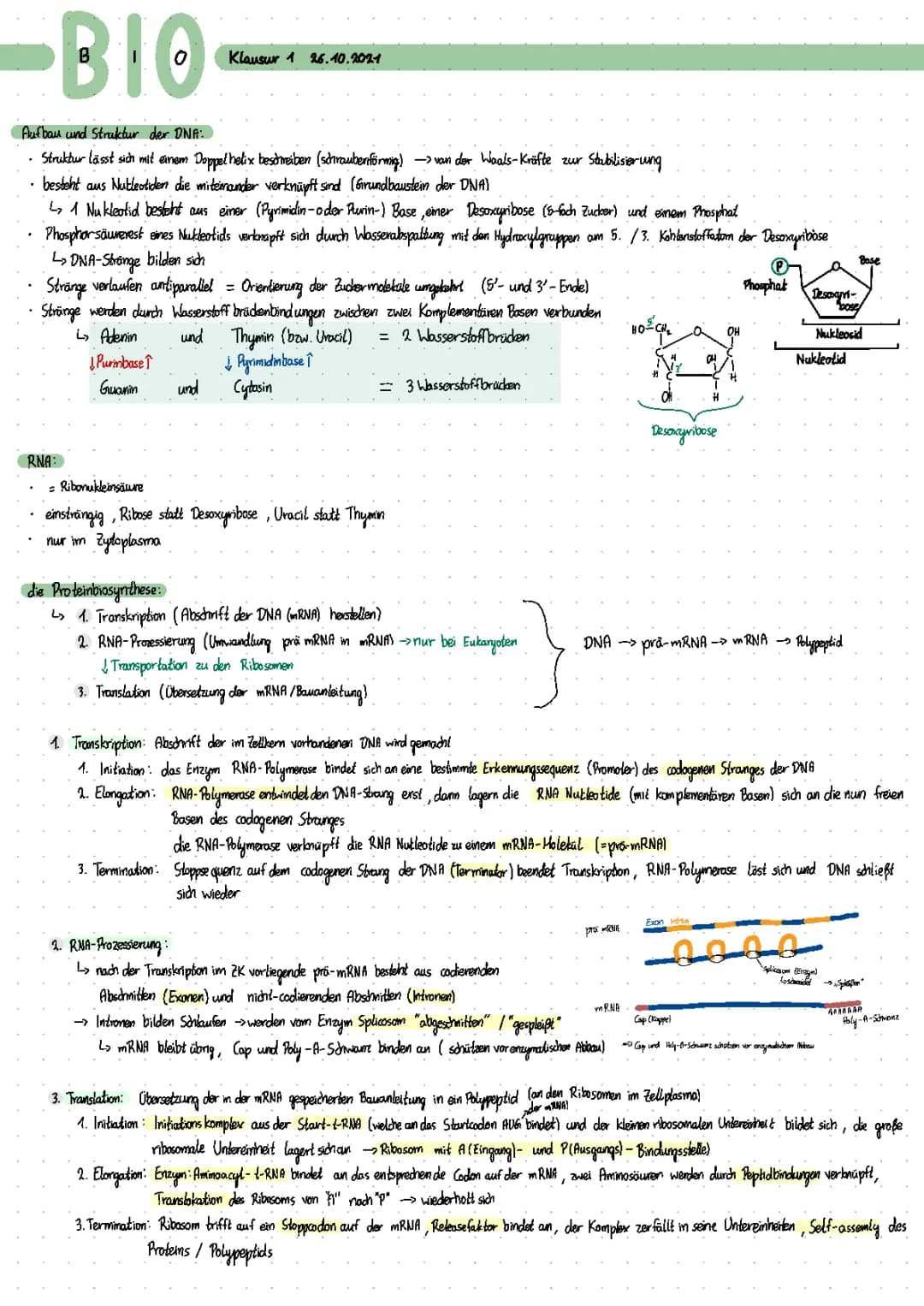 Proteinbiosynthese & Mutationen