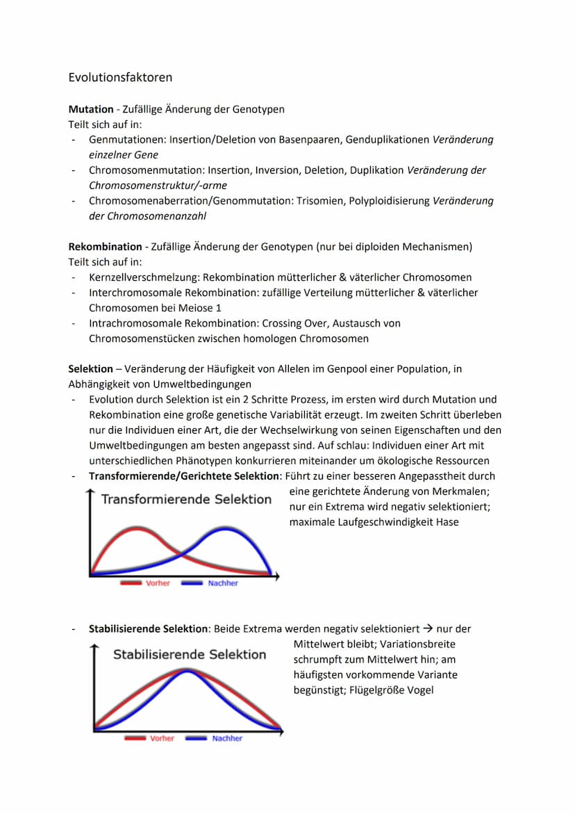 Biologie Klausur - Evolutionsfaktoren-/Mechanismen
●
●
● Divergenz: Prozess des Herausentwickelns aus einem gemeinsamen Ursprung heraus
Die 