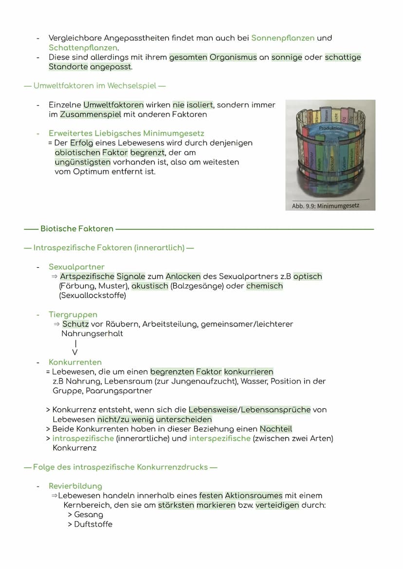 - Komponenten eines Ökosystems
Übersicht Ökologie
Biosphäre
= die Gesamtheit der Ökosysteme auf der Erde
Ökosystem
= eine funktionelle Einhe