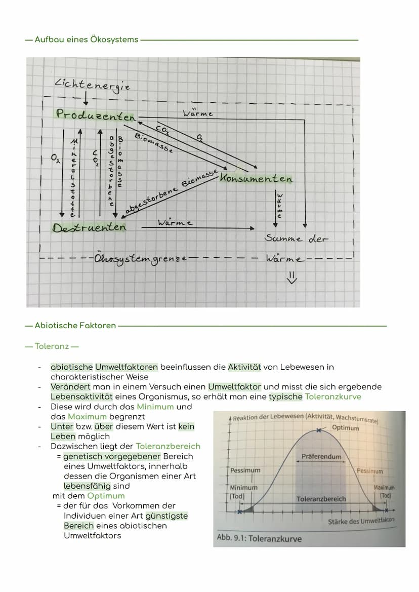 - Komponenten eines Ökosystems
Übersicht Ökologie
Biosphäre
= die Gesamtheit der Ökosysteme auf der Erde
Ökosystem
= eine funktionelle Einhe