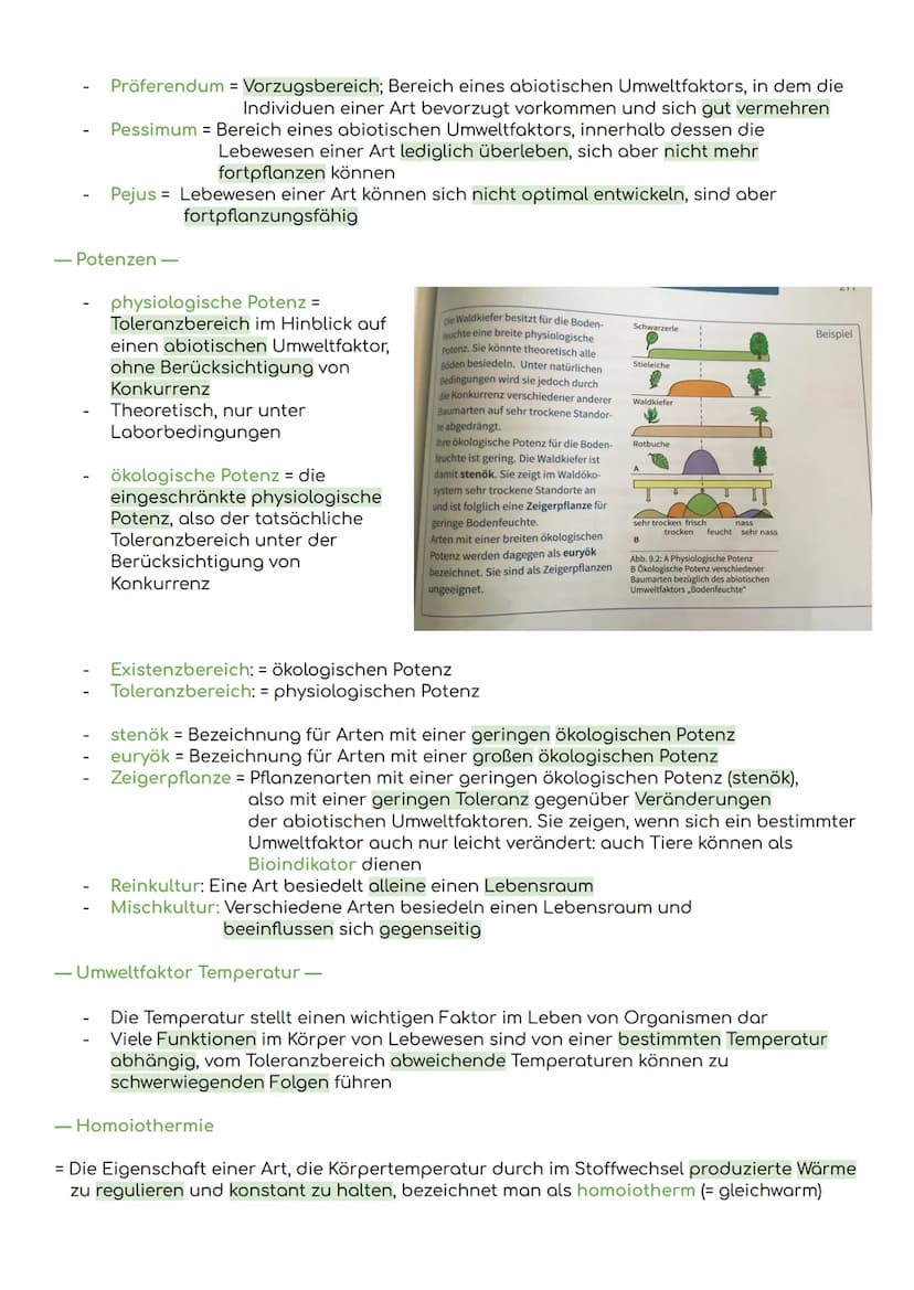 - Komponenten eines Ökosystems
Übersicht Ökologie
Biosphäre
= die Gesamtheit der Ökosysteme auf der Erde
Ökosystem
= eine funktionelle Einhe