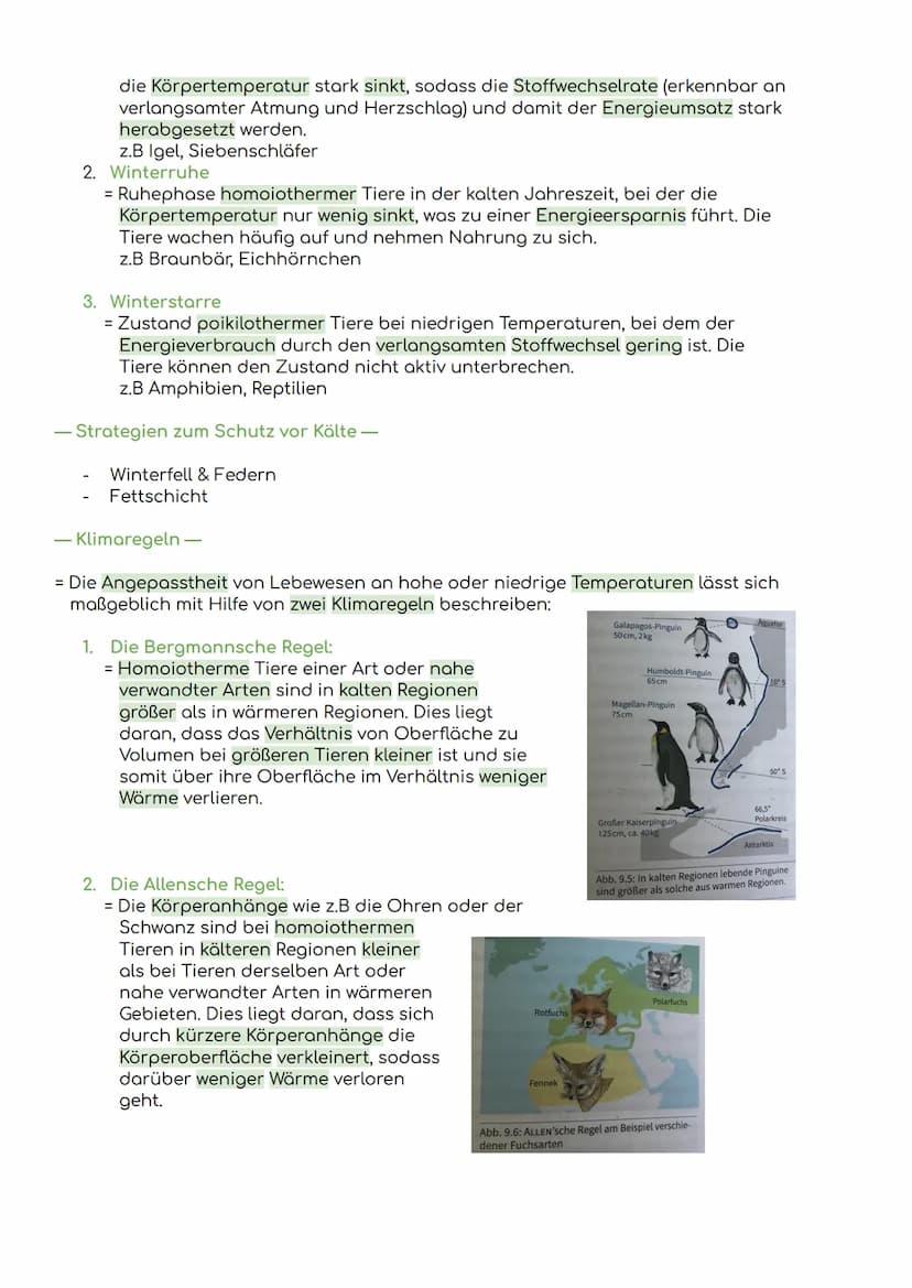 - Komponenten eines Ökosystems
Übersicht Ökologie
Biosphäre
= die Gesamtheit der Ökosysteme auf der Erde
Ökosystem
= eine funktionelle Einhe