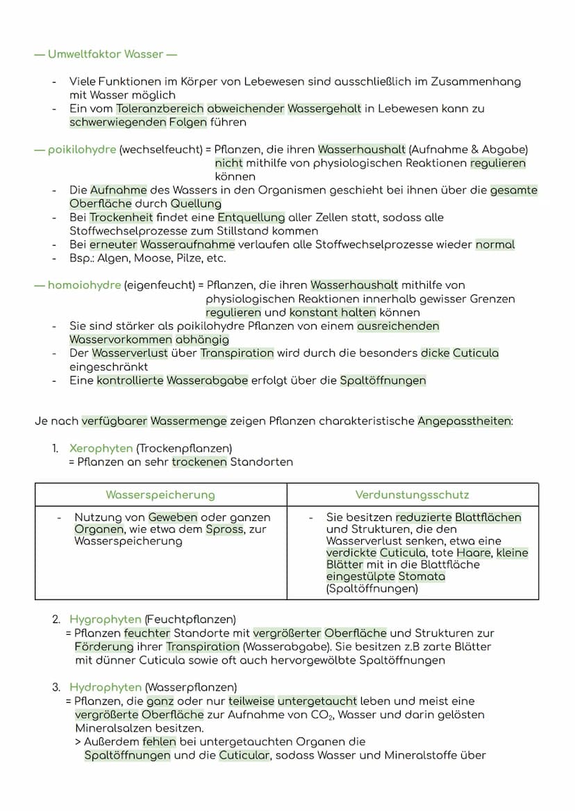 - Komponenten eines Ökosystems
Übersicht Ökologie
Biosphäre
= die Gesamtheit der Ökosysteme auf der Erde
Ökosystem
= eine funktionelle Einhe