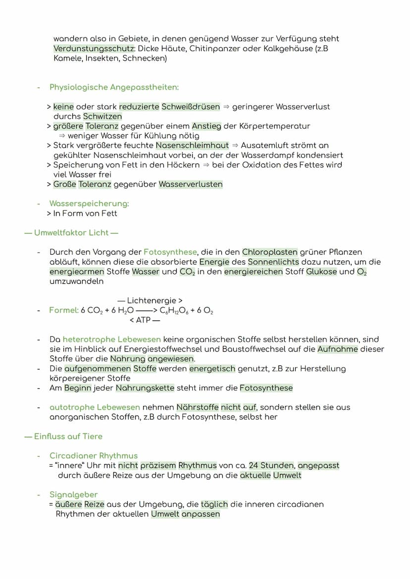 - Komponenten eines Ökosystems
Übersicht Ökologie
Biosphäre
= die Gesamtheit der Ökosysteme auf der Erde
Ökosystem
= eine funktionelle Einhe