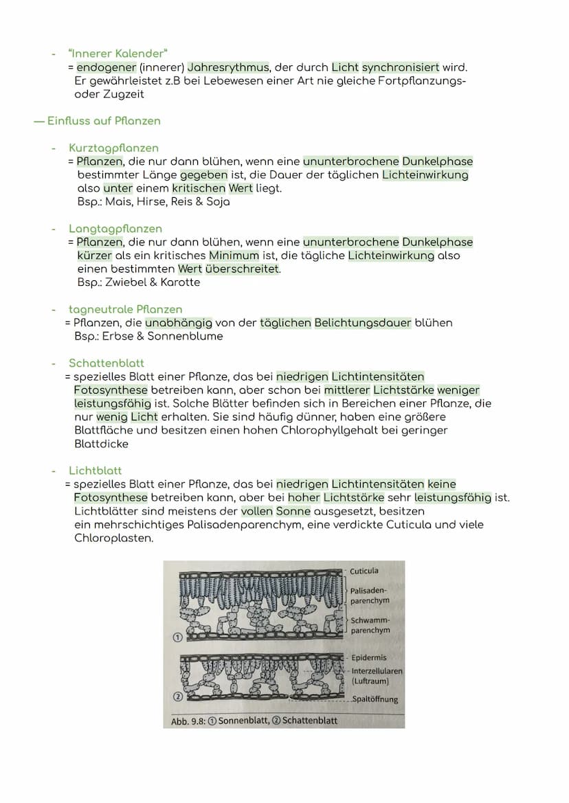 - Komponenten eines Ökosystems
Übersicht Ökologie
Biosphäre
= die Gesamtheit der Ökosysteme auf der Erde
Ökosystem
= eine funktionelle Einhe