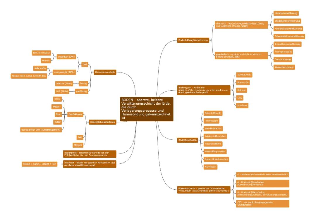 Bodenbildung einfach erklärt - Alle Bodenarten und Bodenhorizonte
