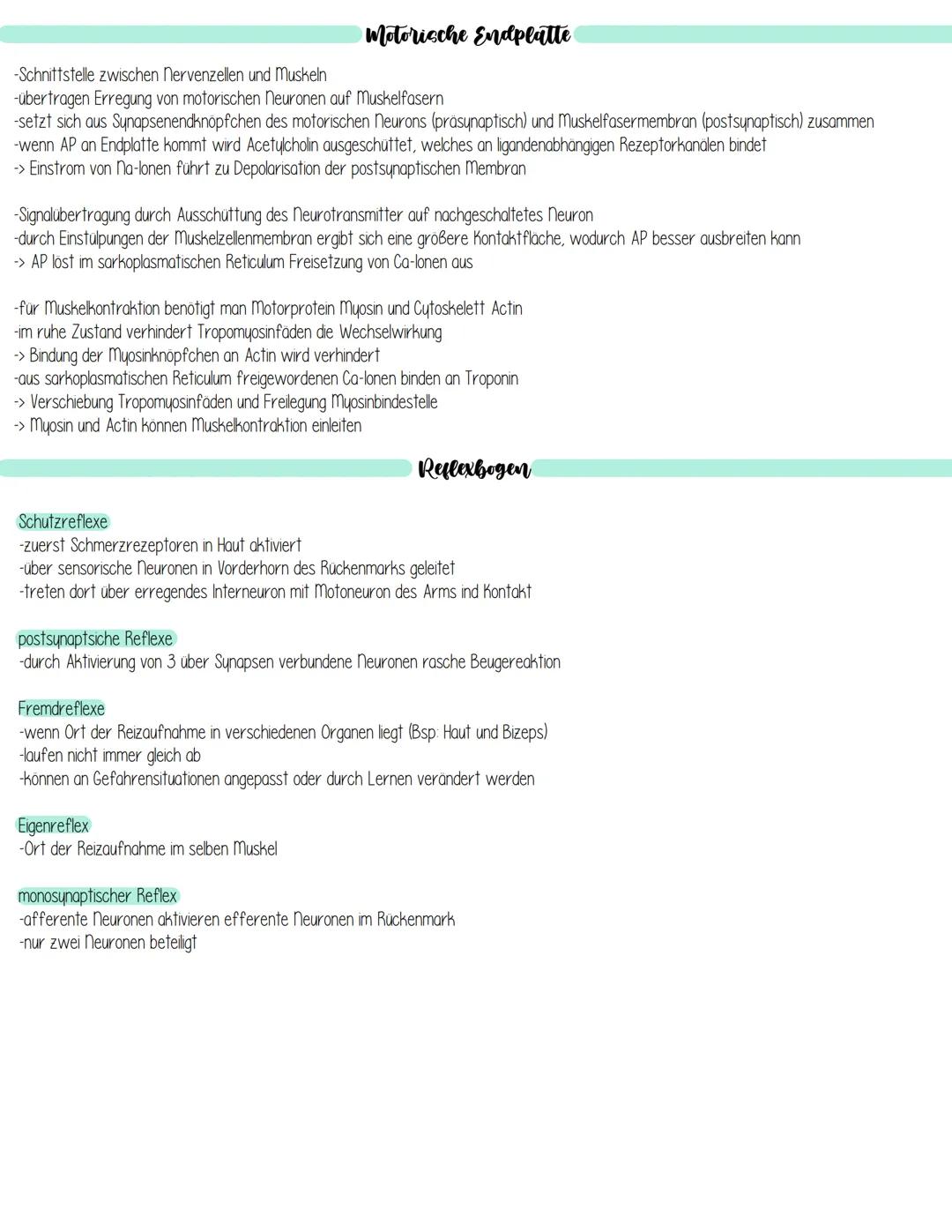 Iris
sind hochselektiv
Schlemmscher Kanal
(Regenbogenhaut)
Hornhaut
(Cornea)
Pupille
Vordere Augenkammer
Aufnahme und Verarbeitung von Sinne