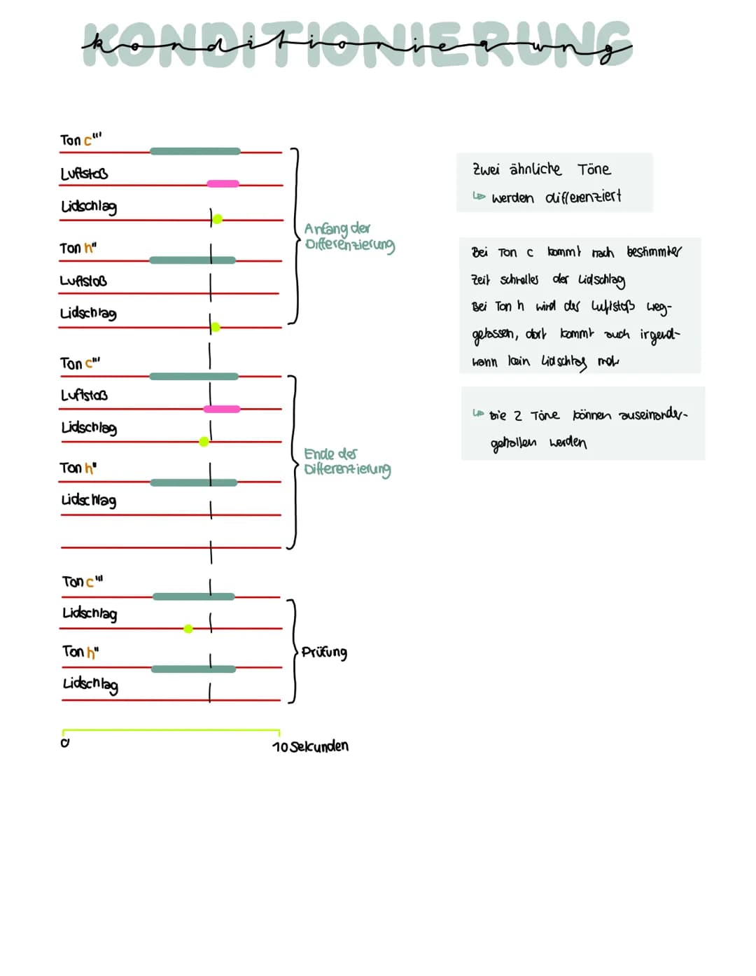 konditioniegung
Klassische Konditionierung:
Unbedingter Reiz
(UCS)
Neutraler Reiz
(NS)
Neutraler Reiz +
Unbedingter Reiz
Bedlingter Reit (cs