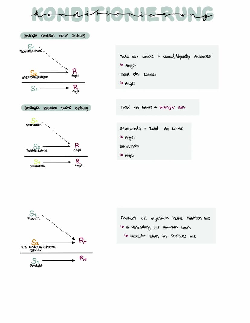 konditioniegung
Klassische Konditionierung:
Unbedingter Reiz
(UCS)
Neutraler Reiz
(NS)
Neutraler Reiz +
Unbedingter Reiz
Bedlingter Reit (cs
