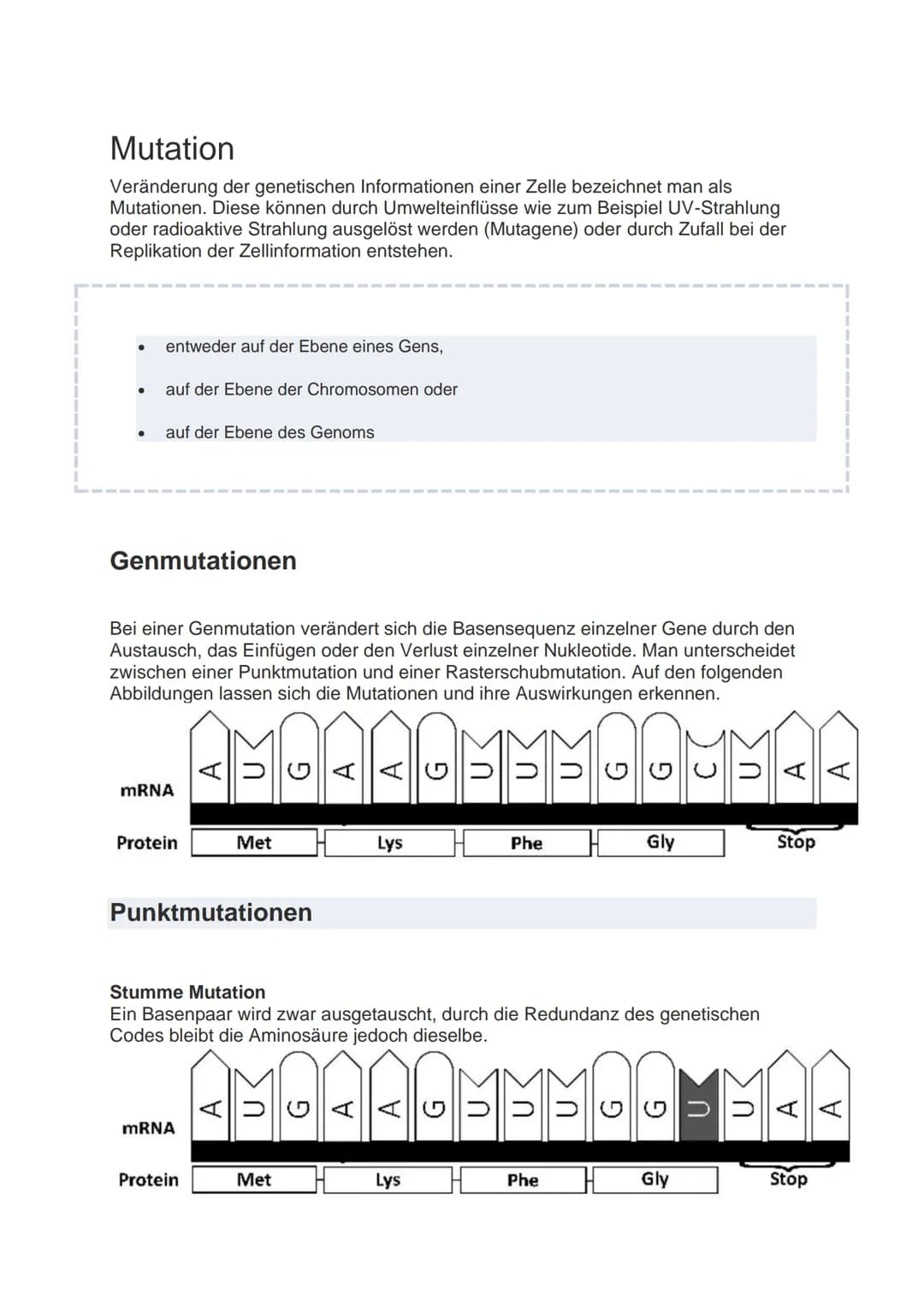Mutation
Veränderung der genetischen Informationen einer Zelle bezeichnet man als
Mutationen. Diese können durch Umwelteinflüsse wie zum Bei