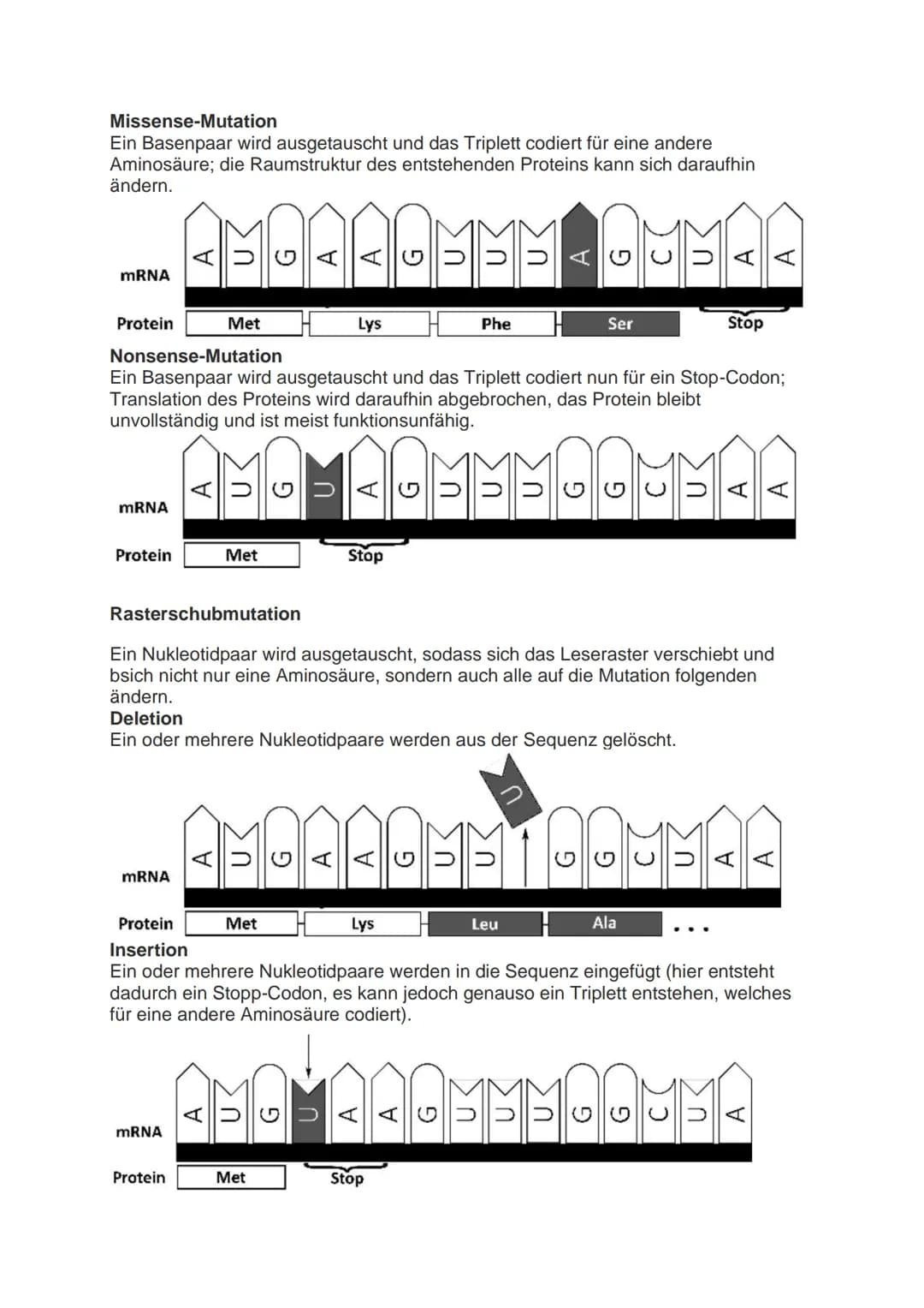 Mutation
Veränderung der genetischen Informationen einer Zelle bezeichnet man als
Mutationen. Diese können durch Umwelteinflüsse wie zum Bei