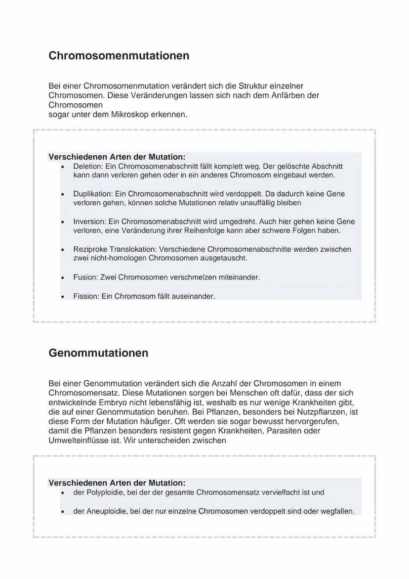 Mutation
Veränderung der genetischen Informationen einer Zelle bezeichnet man als
Mutationen. Diese können durch Umwelteinflüsse wie zum Bei