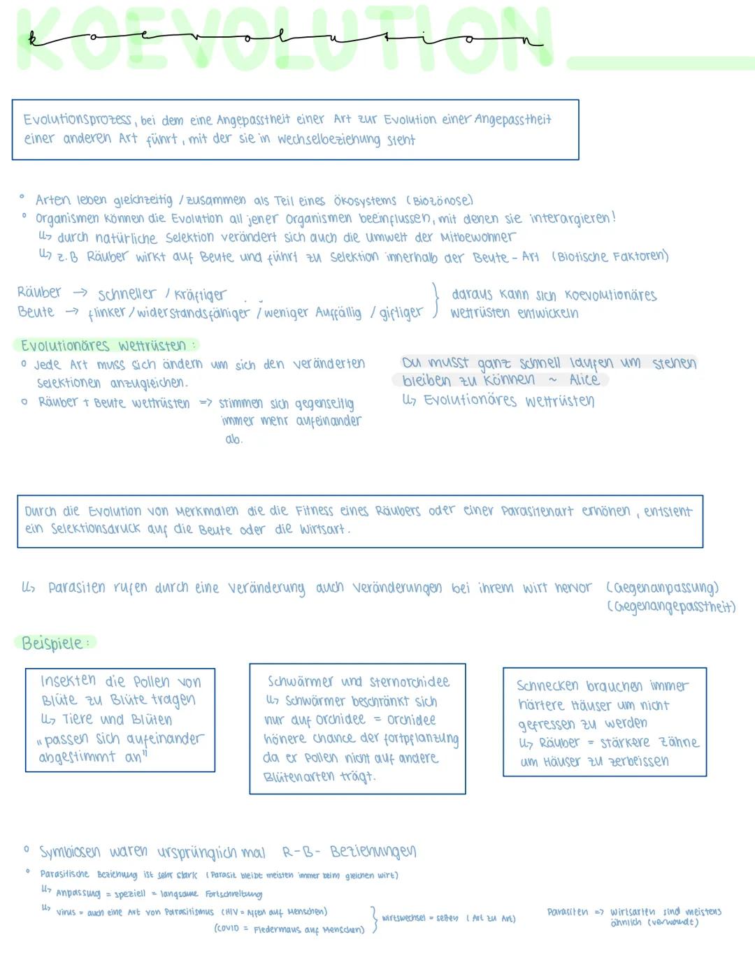 # koevolution

Evolutionsprozess, bei dem eine Angepasstheit einer Art zur Evolution einer Angepasstheit
einer anderen Art führt, mit der si