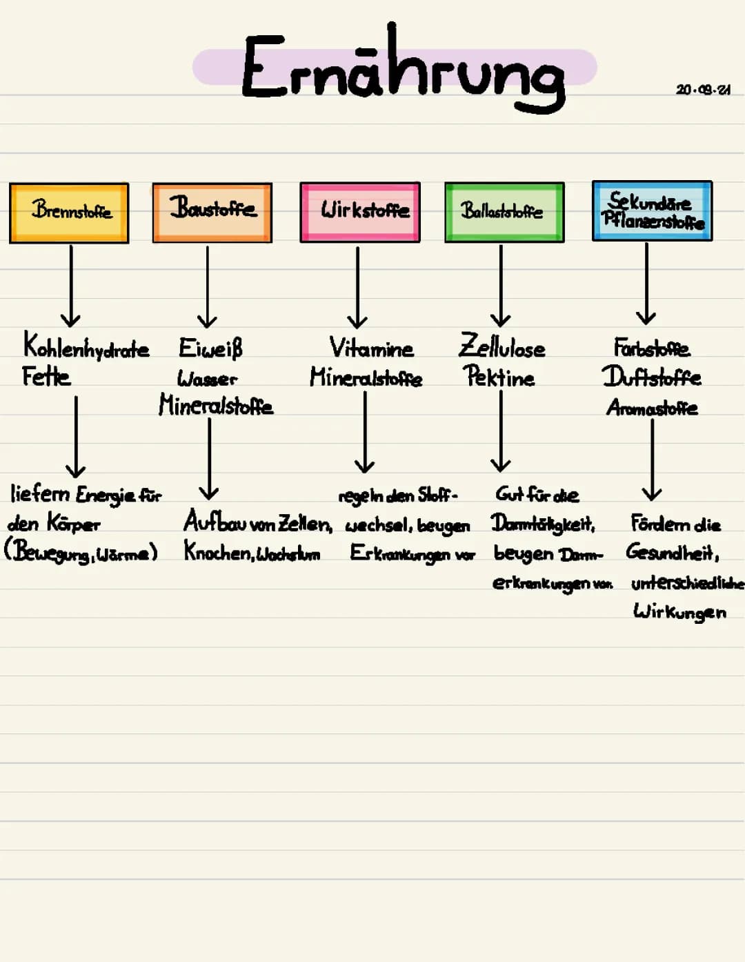 Wirkstoffe und Bausteine der Ernährung 