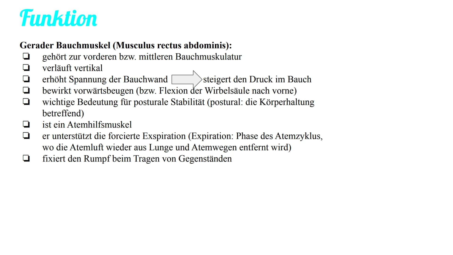 Bauchmuskulatur
Präsentation von Antonia, Emily & Kaya Inhaltsverzeichnis
1. Welche Bauchmuskeln gibt es ? (Antonia)
2. Anatomie (Kaya)
3. A