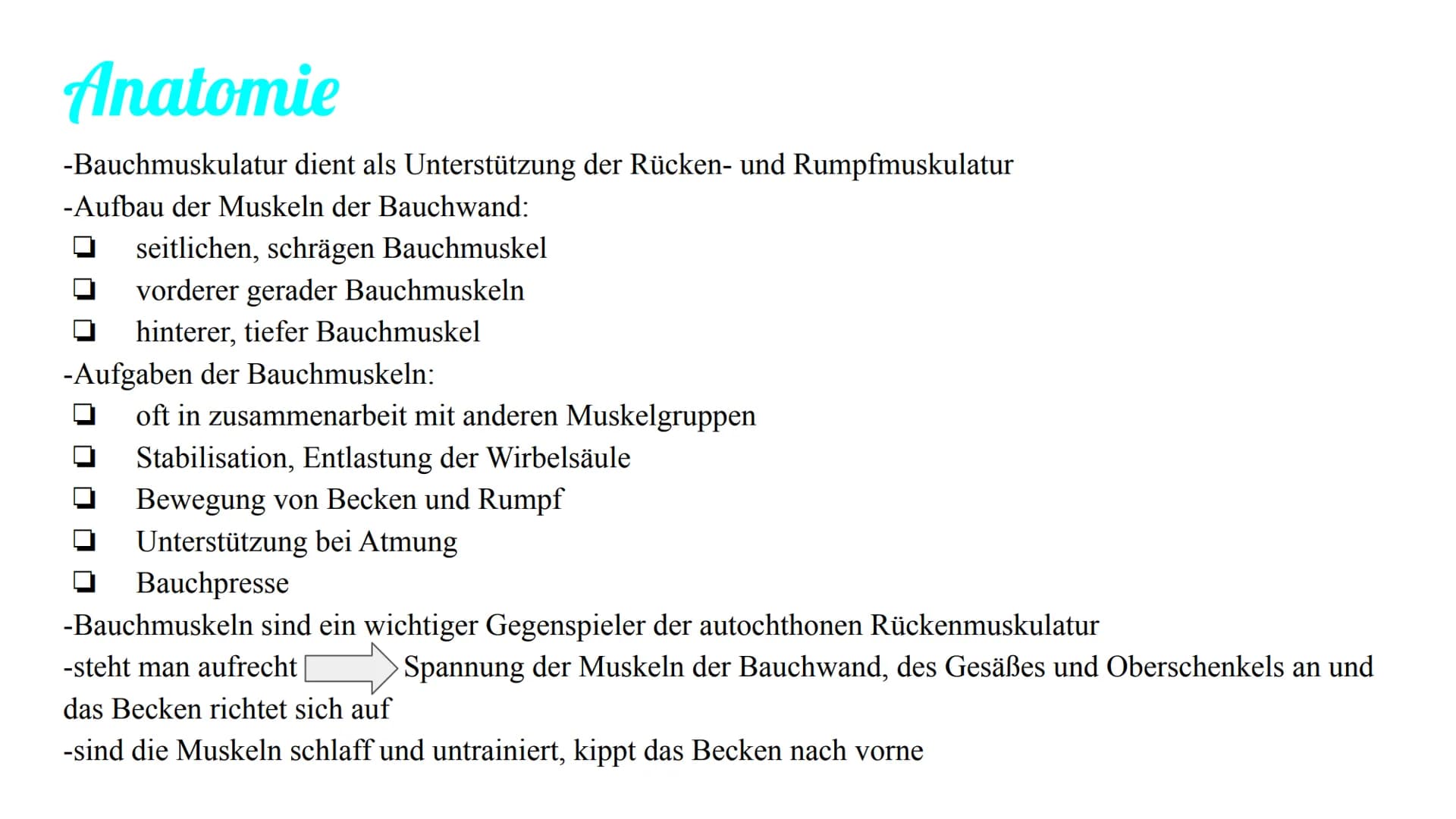 Bauchmuskulatur
Präsentation von Antonia, Emily & Kaya Inhaltsverzeichnis
1. Welche Bauchmuskeln gibt es ? (Antonia)
2. Anatomie (Kaya)
3. A