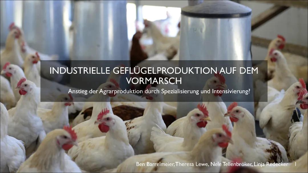 Industrielle Geflügelproduktion