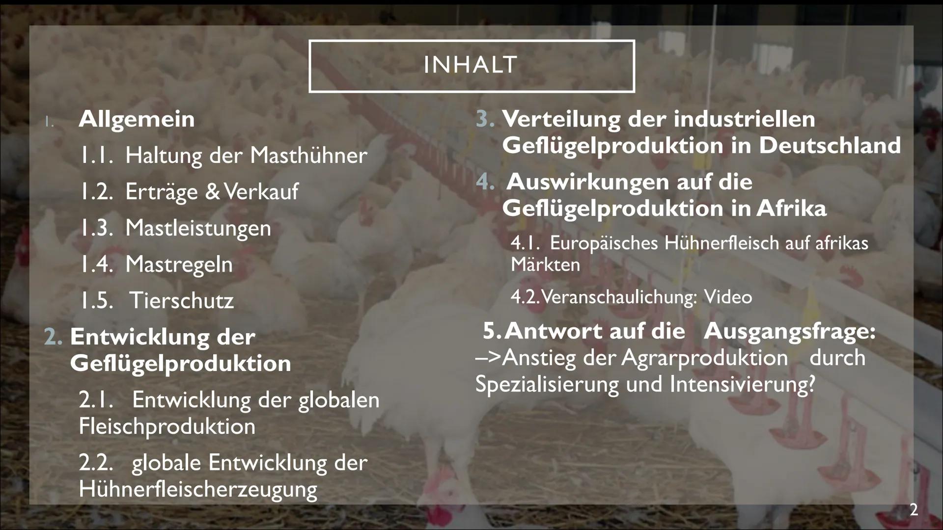 INDUSTRIELLE GEFLÜGELPRODUKTION AUF DEM
VORMARSCH
Anstieg der Agrarproduktion durch Spezialisierung und Intensivierung?
Ben Barrelmeier, The