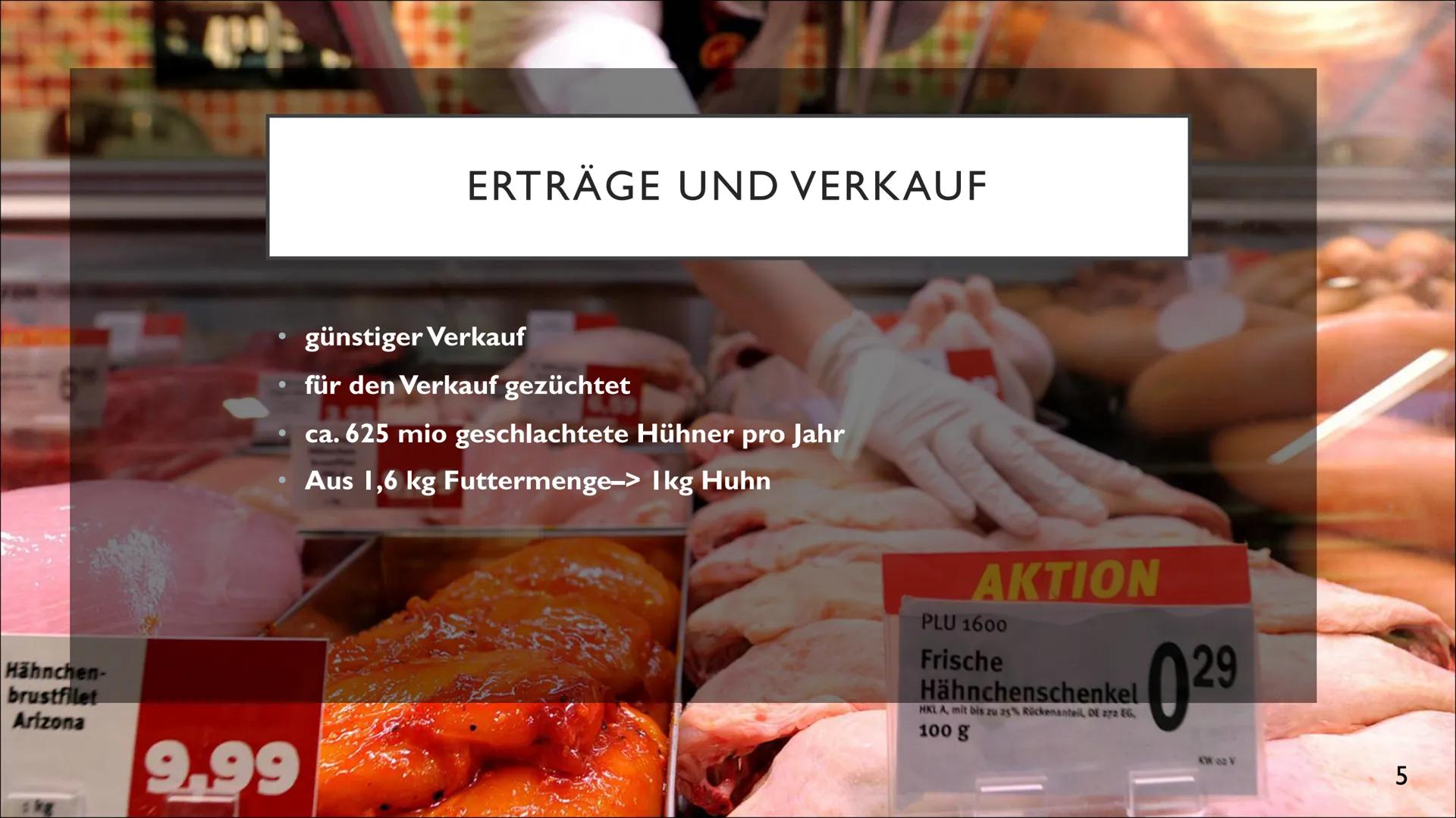 INDUSTRIELLE GEFLÜGELPRODUKTION AUF DEM
VORMARSCH
Anstieg der Agrarproduktion durch Spezialisierung und Intensivierung?
Ben Barrelmeier, The