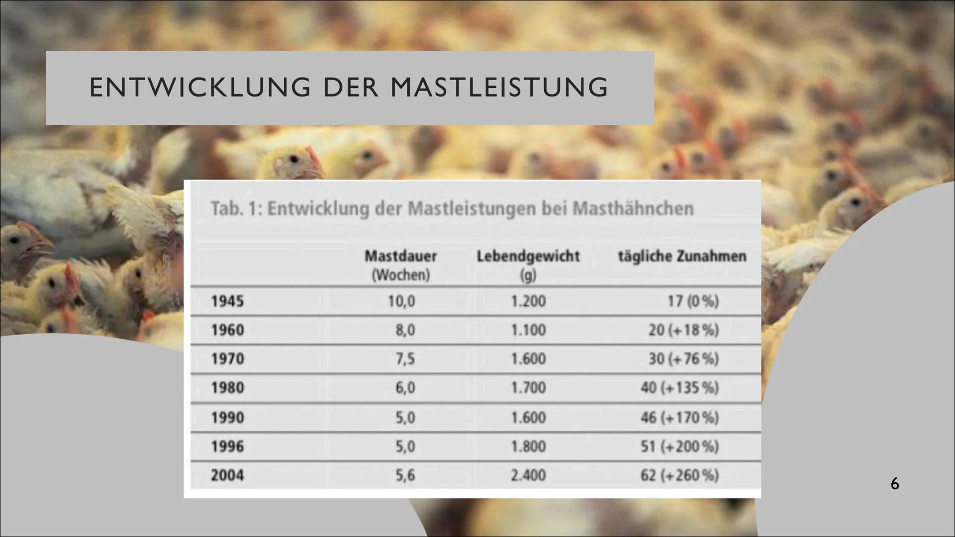 INDUSTRIELLE GEFLÜGELPRODUKTION AUF DEM
VORMARSCH
Anstieg der Agrarproduktion durch Spezialisierung und Intensivierung?
Ben Barrelmeier, The