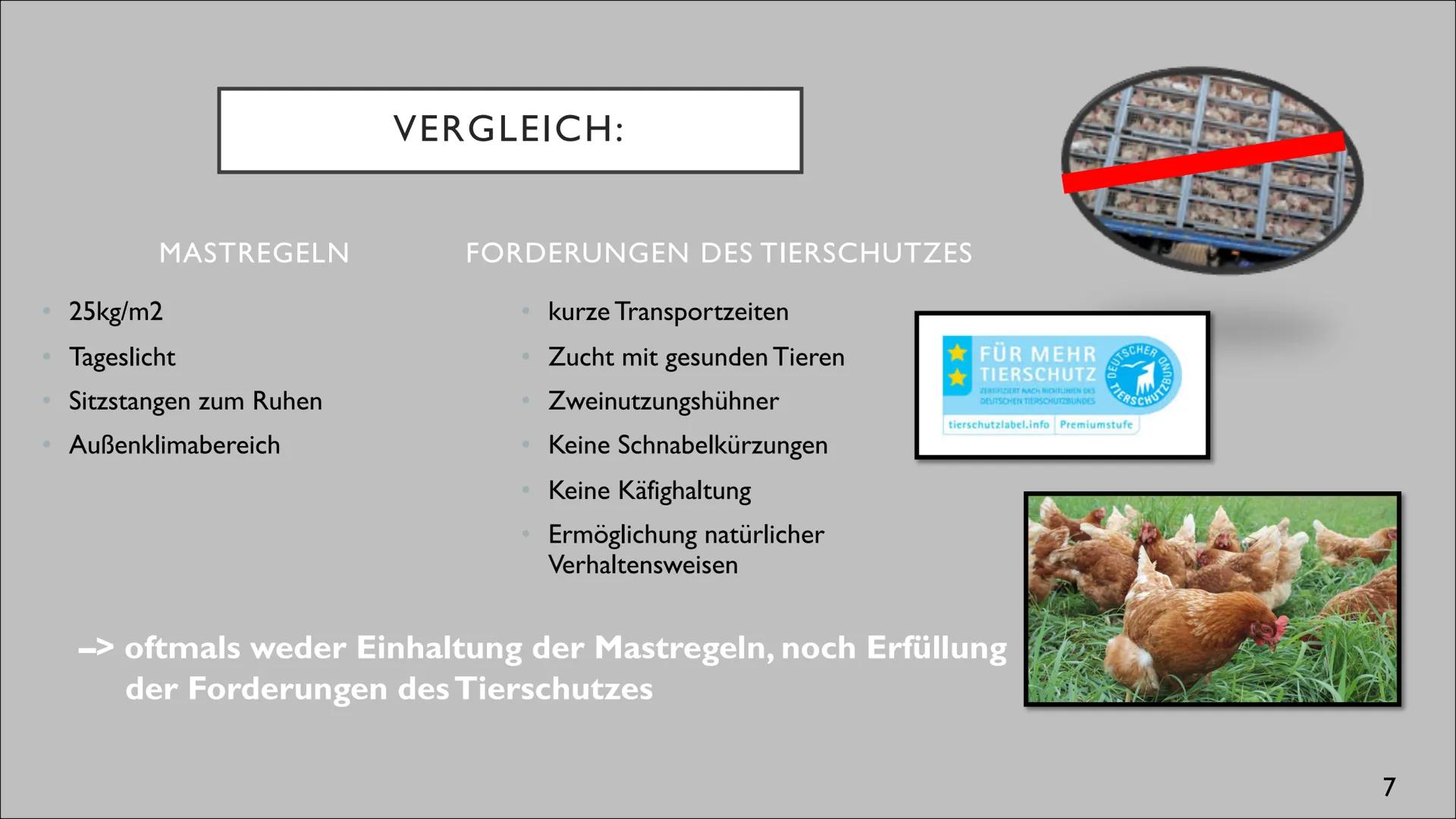 INDUSTRIELLE GEFLÜGELPRODUKTION AUF DEM
VORMARSCH
Anstieg der Agrarproduktion durch Spezialisierung und Intensivierung?
Ben Barrelmeier, The