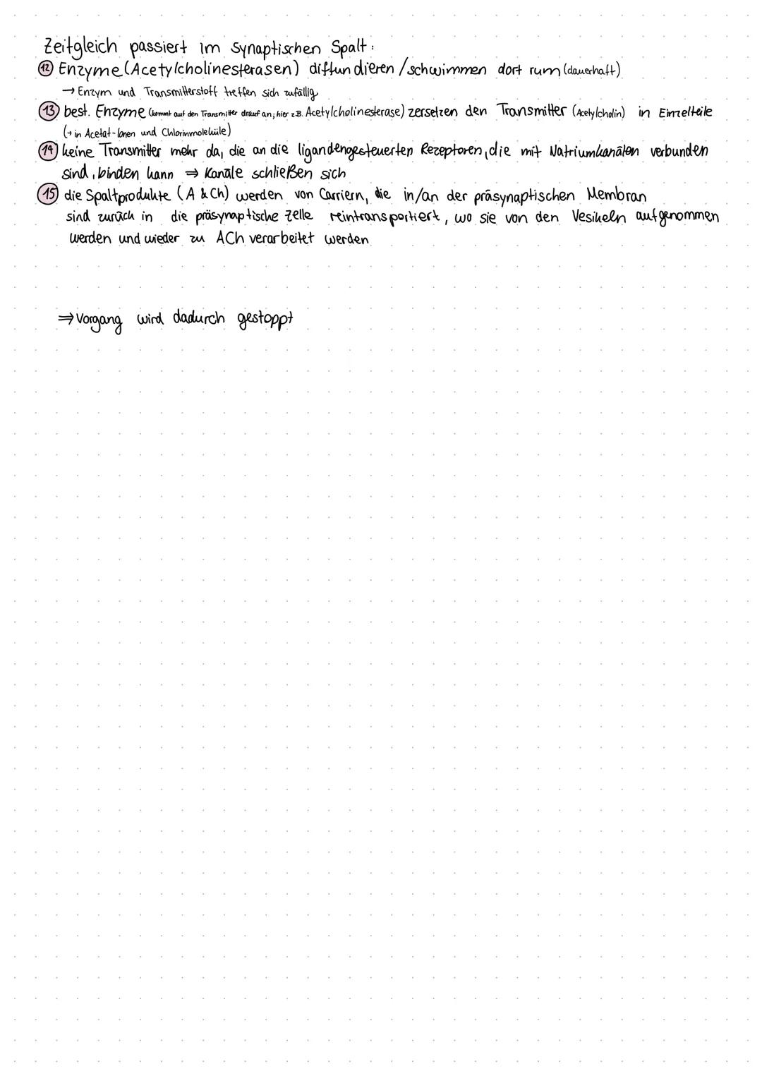 # Chemische Synapse
-Informationsübertragung einer erregenden Zelle

Exzitatorisches postsynaptisches Signal$\,\rightarrow EPSP$
Information