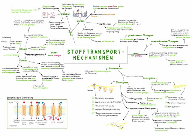 Know Stofftransportmechanismen thumbnail