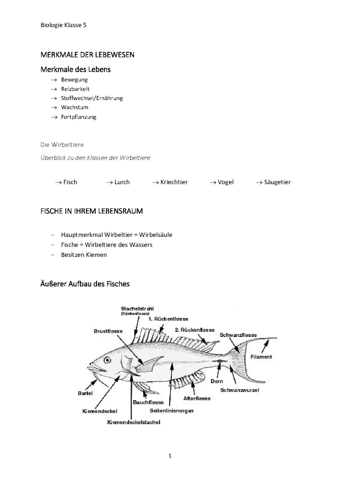 Zusammenfassung Schuljahr Klasse 5 Biologie