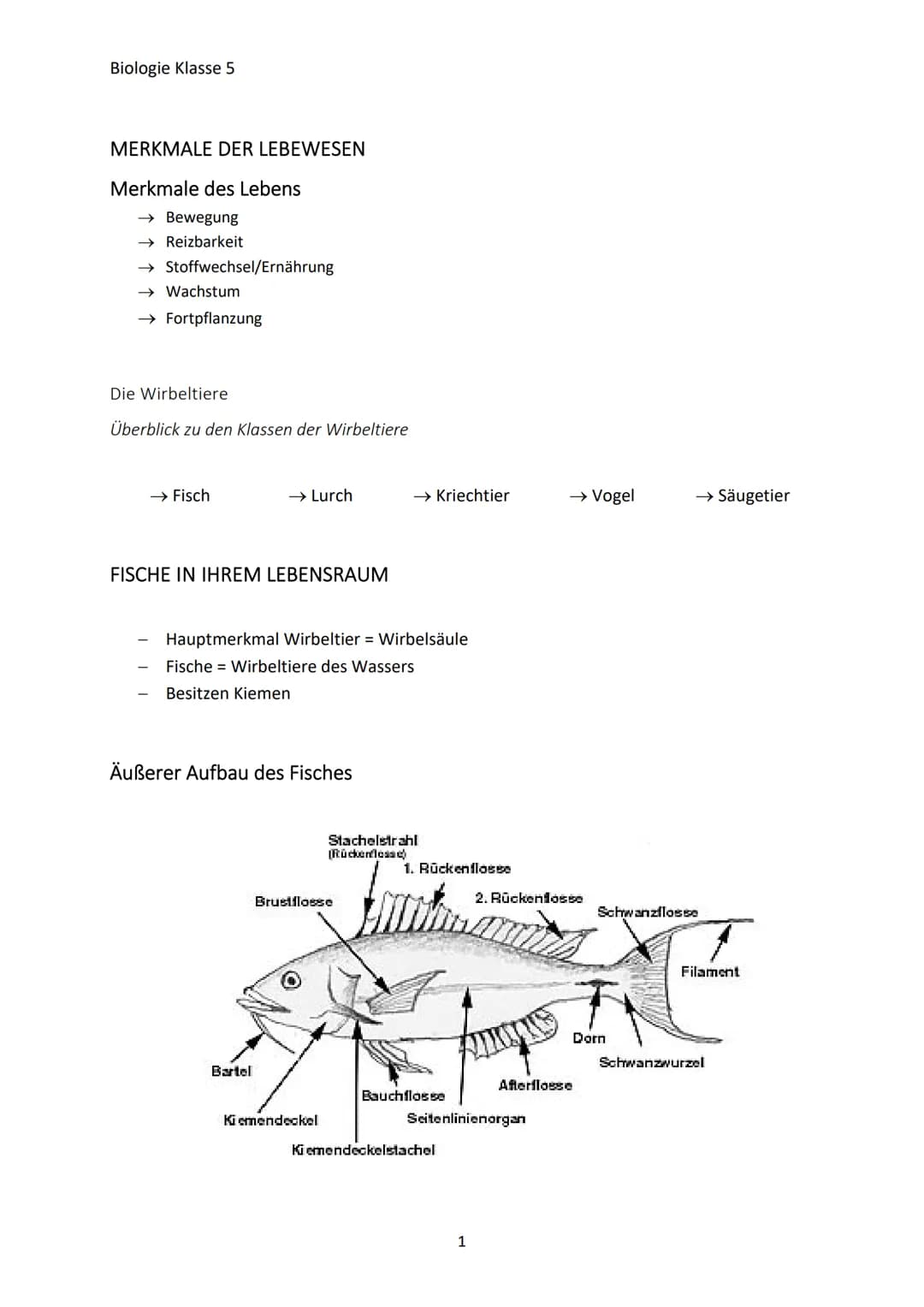 Biologie Klasse 5
MERKMALE DER LEBEWESEN
Merkmale des Lebens
→ Bewegung
→Reizbarkeit
→ Stoffwechsel/Ernährung
→ Wachstum
→Fortpflanzung
Die 