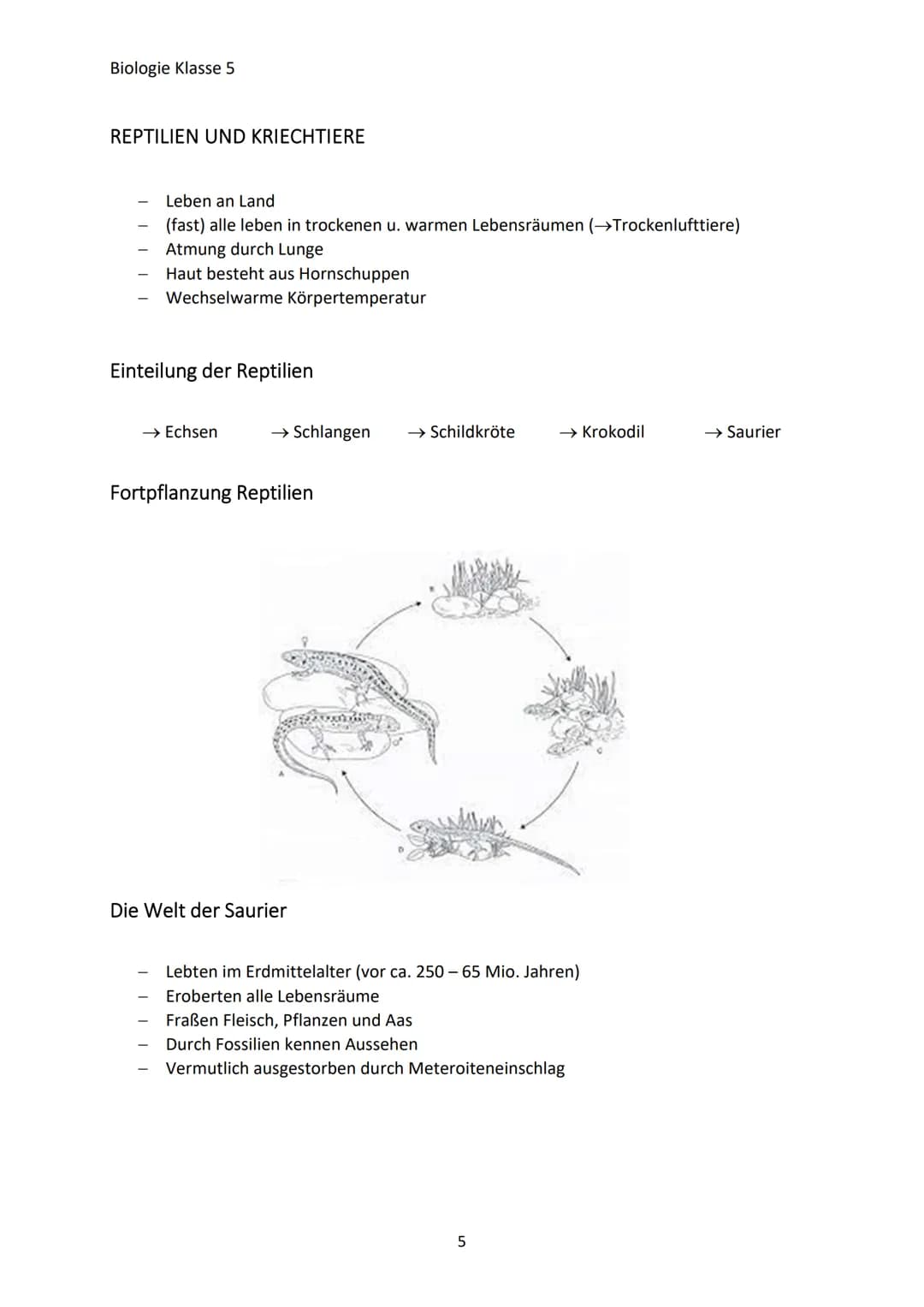 Biologie Klasse 5
MERKMALE DER LEBEWESEN
Merkmale des Lebens
→ Bewegung
→Reizbarkeit
→ Stoffwechsel/Ernährung
→ Wachstum
→Fortpflanzung
Die 