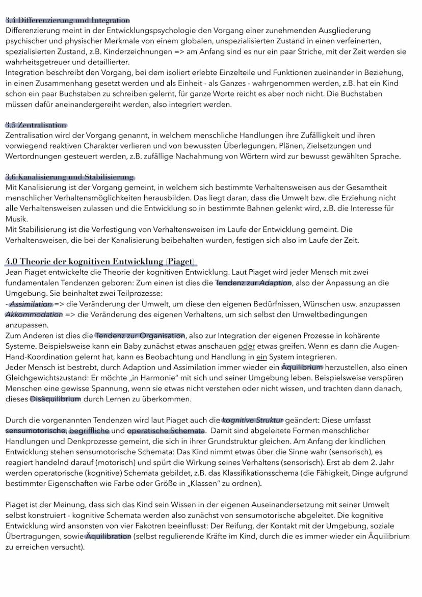 01. Lernen am Modell
Lernzettel: Entwicklung
1.1 Die sozial-kognitive Theorie
Die sozial-kognitive Theorie wurde von Albert Bandura entwicke