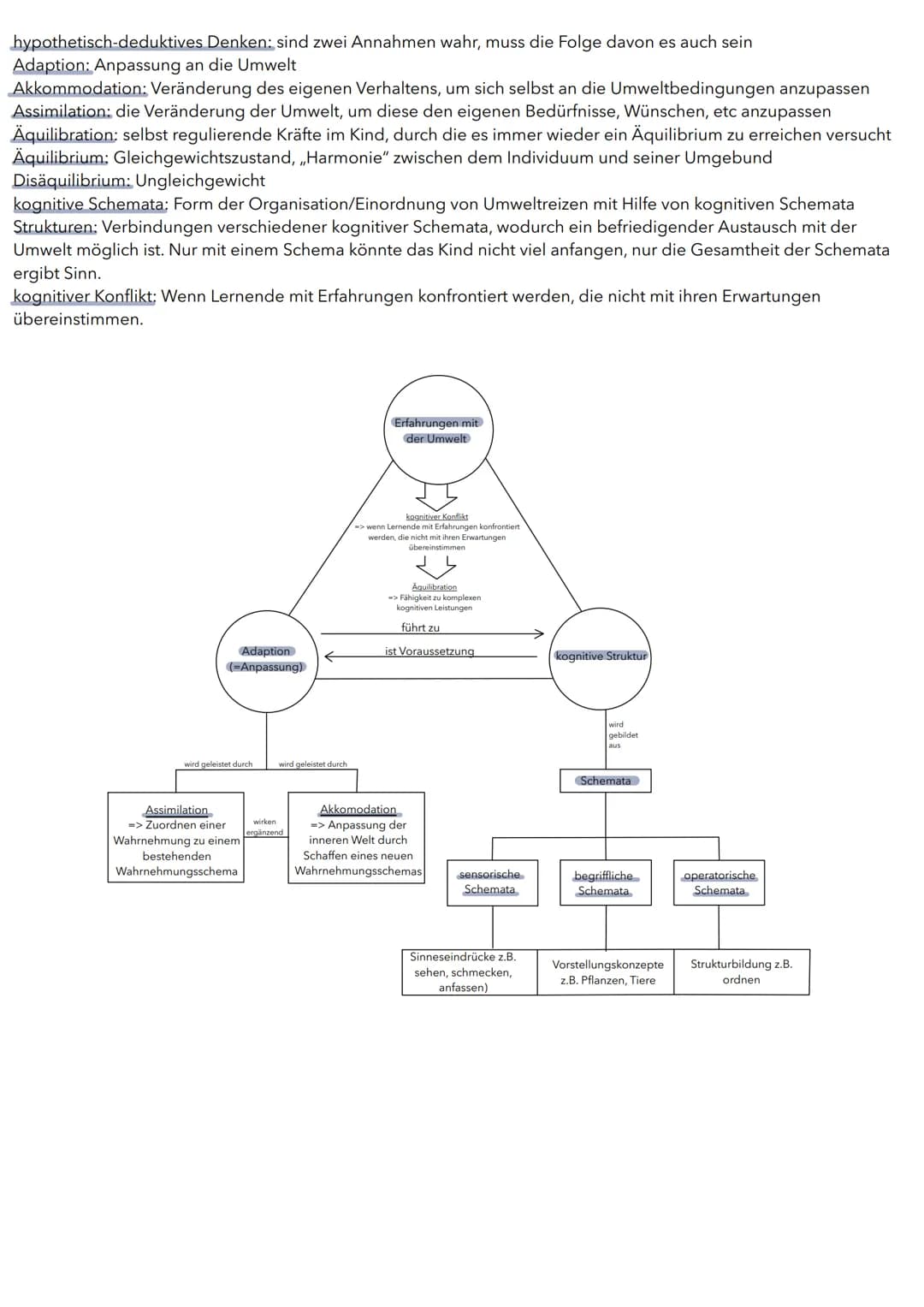 01. Lernen am Modell
Lernzettel: Entwicklung
1.1 Die sozial-kognitive Theorie
Die sozial-kognitive Theorie wurde von Albert Bandura entwicke