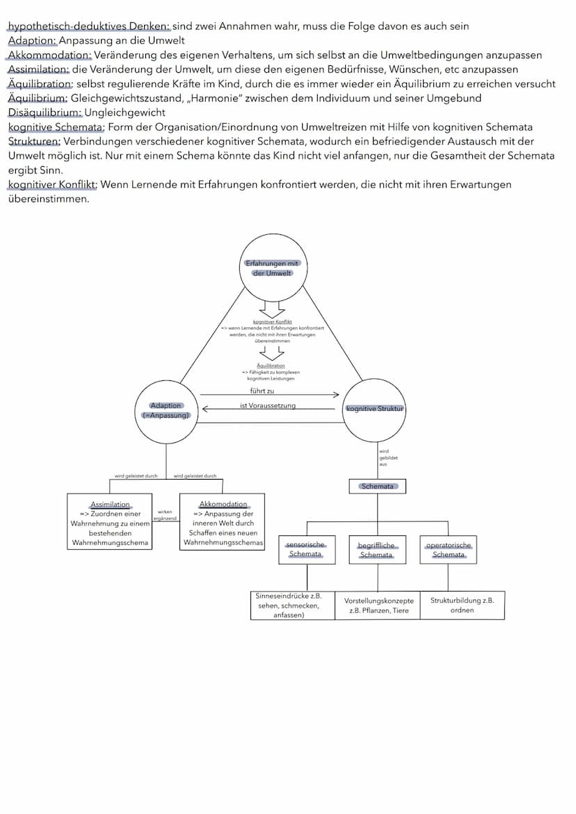 01. Lernen am Modell
Lernzettel: Entwicklung
1.1 Die sozial-kognitive Theorie
Die sozial-kognitive Theorie wurde von Albert Bandura entwicke