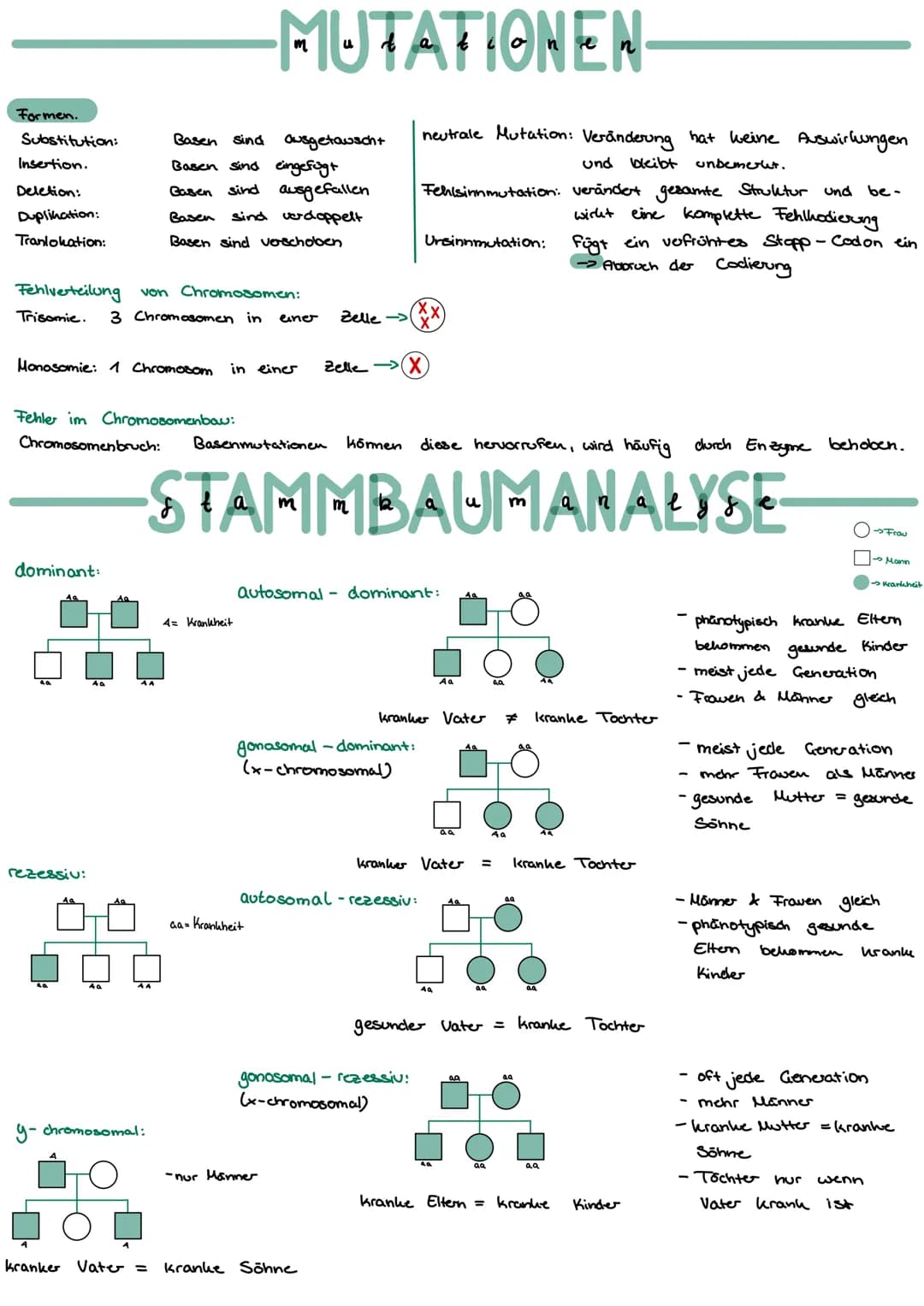 Mitose:
Ablauf:
Interphase:
Synthese phase:
GAP Phase 2:
Mitosephase:
Ruhephase:
GAP Phase 1:
Meiose:
Ablauf:
(XX)
Zellteilung einer Mutterz