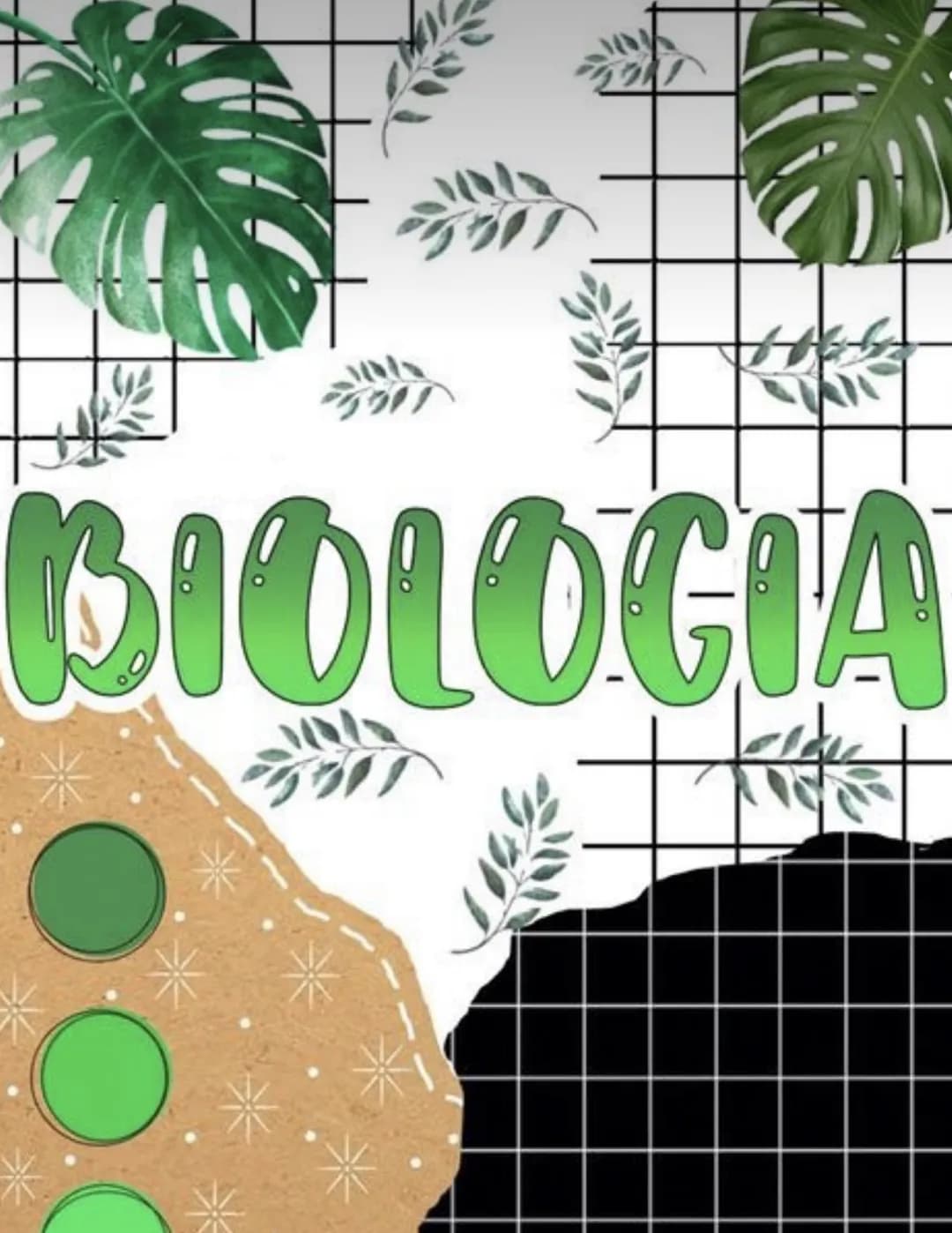 "T
о
21
BIOLOGIA 1. Mikroorganismen
1.1. Bau einer Bakterienzelle
plasmide
Zusät eliches genetisches Material
Material: Hier sind oft Inform