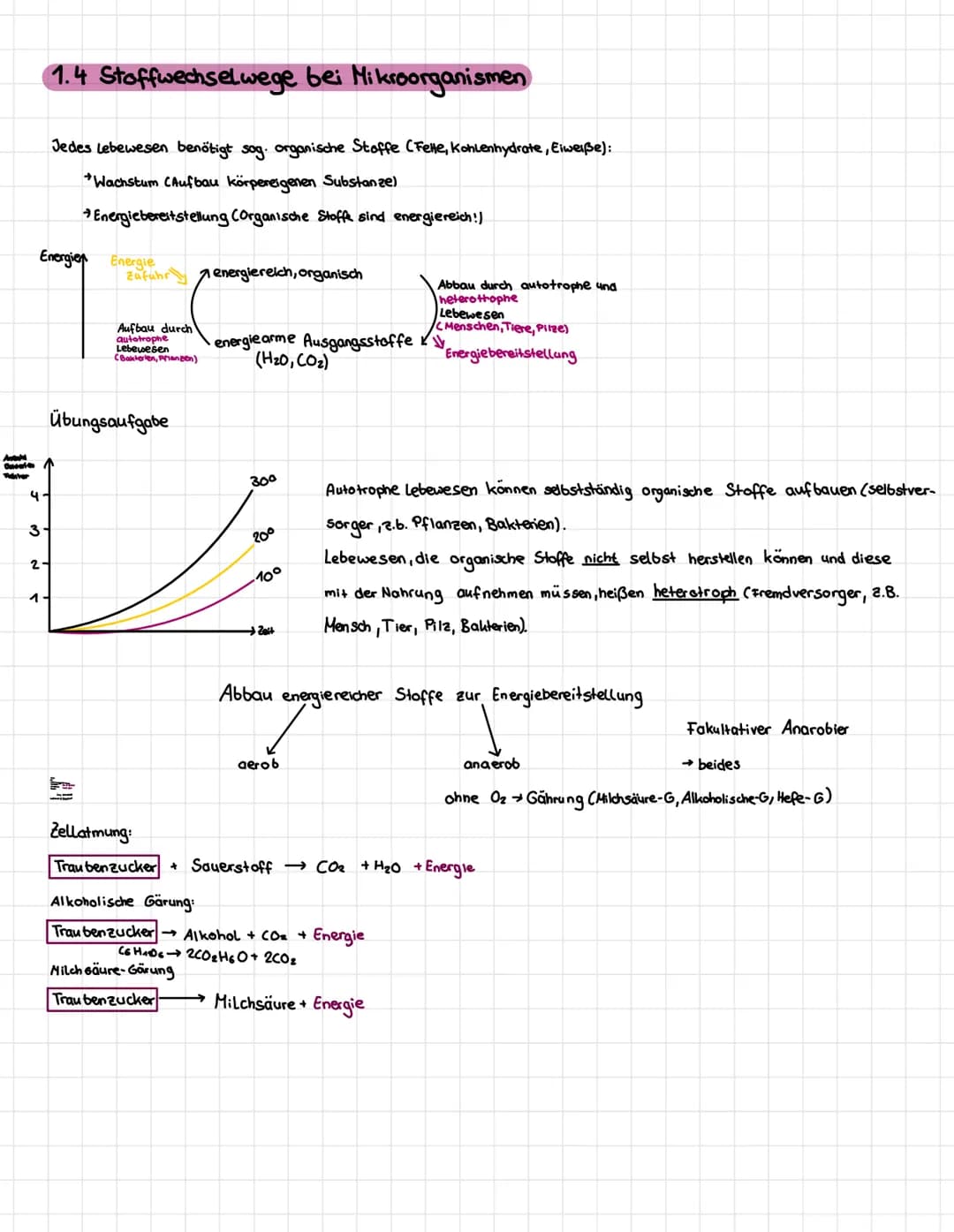 "T
о
21
BIOLOGIA 1. Mikroorganismen
1.1. Bau einer Bakterienzelle
plasmide
Zusät eliches genetisches Material
Material: Hier sind oft Inform