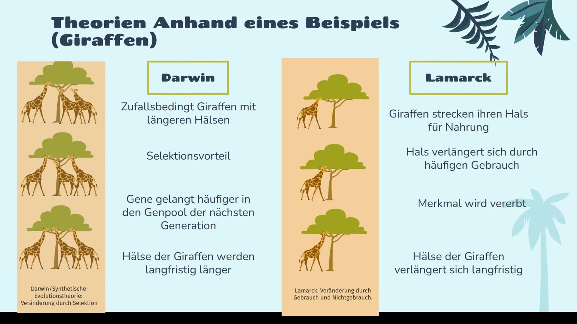 Evolutions
Theorien
Darwin
Lamarck
st 01
02
03
Lamarck Theorie
Darwin's Theorie
Heutige Sicht Was ist eine Evolutionstheorie?
Aus dem lat. E