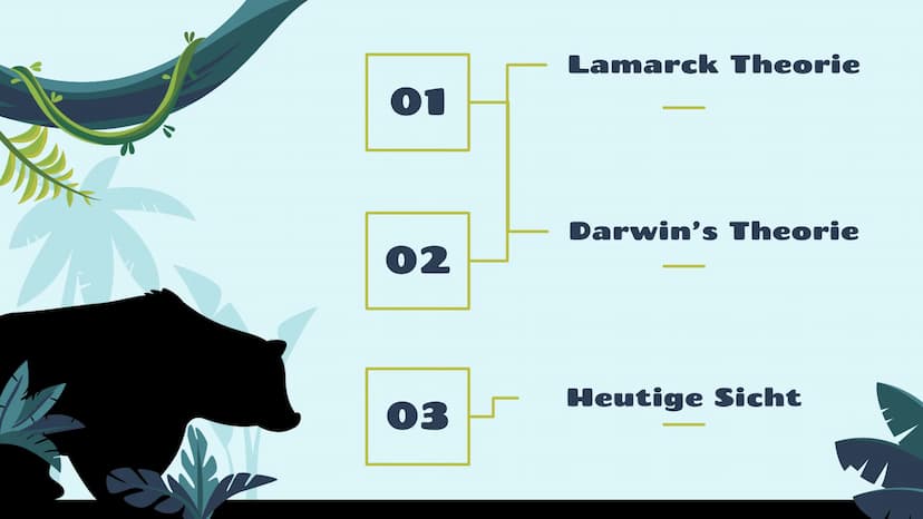 Evolutions
Theorien
Darwin
Lamarck
st 01
02
03
Lamarck Theorie
Darwin's Theorie
Heutige Sicht Was ist eine Evolutionstheorie?
Aus dem lat. E