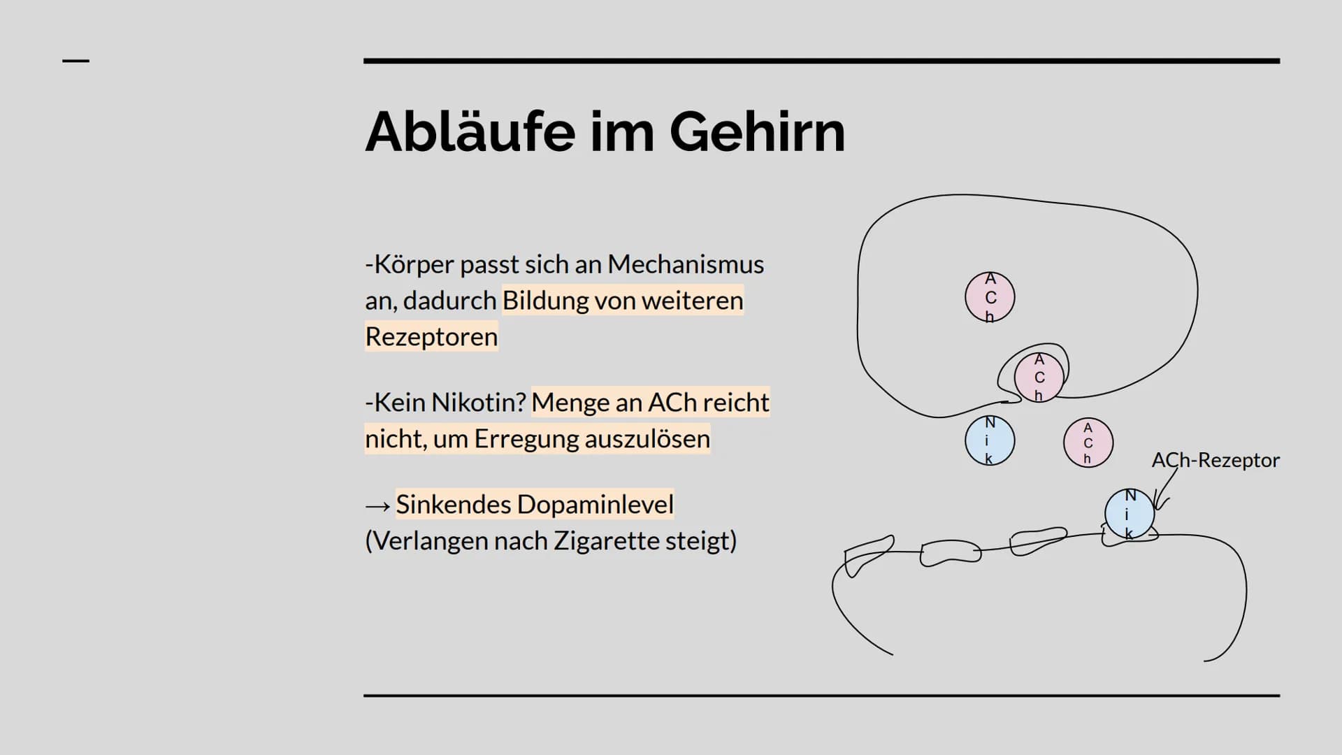 Das Nervengift
Nikotin GLIEDERUNG
WAS IST NIKOTIN? +
VERWENDUNG
ABLÄUFE IM GEHIRN
WIRKUNG
RISIKEN + GESUNDHEITLICHE
FOLGEN Was ist Nikotin
ü