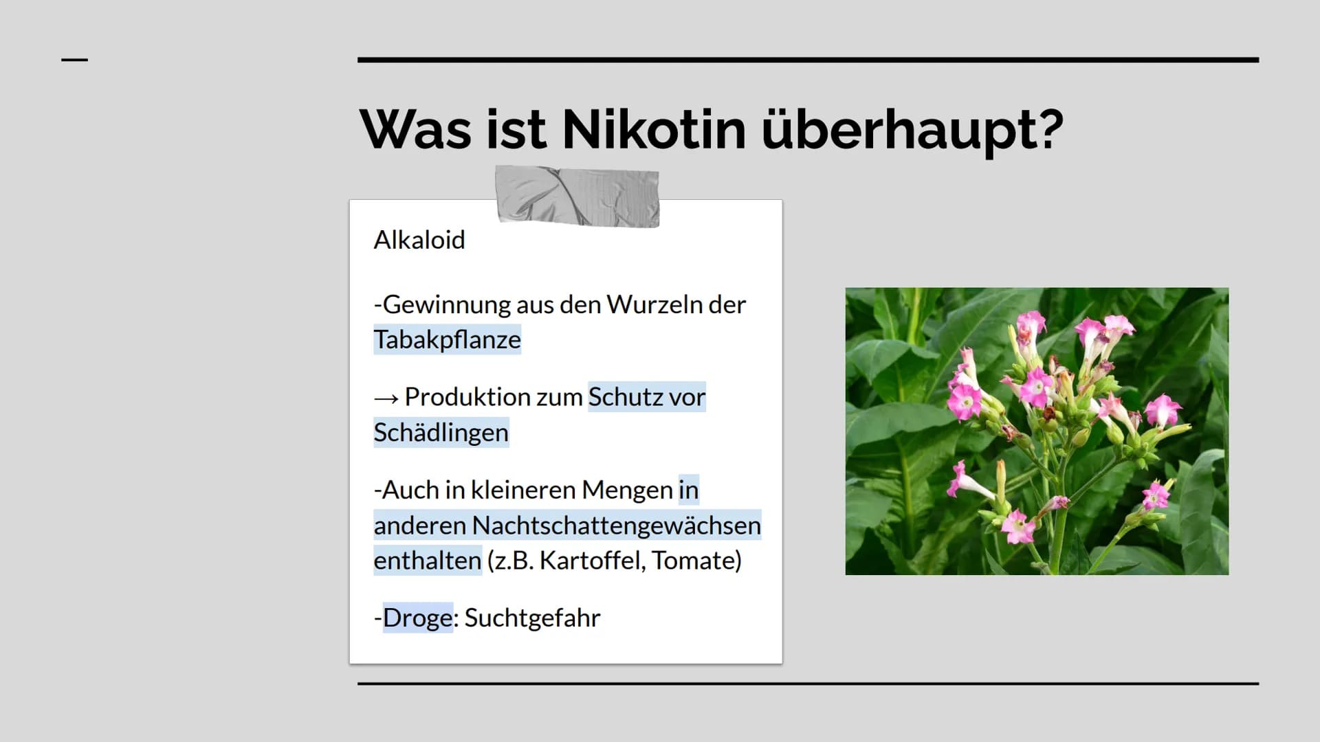 Das Nervengift
Nikotin GLIEDERUNG
WAS IST NIKOTIN? +
VERWENDUNG
ABLÄUFE IM GEHIRN
WIRKUNG
RISIKEN + GESUNDHEITLICHE
FOLGEN Was ist Nikotin
ü