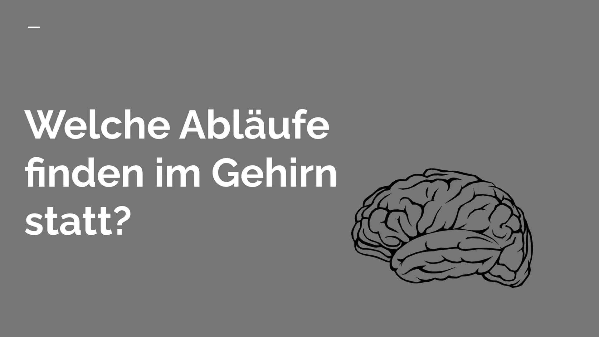 Das Nervengift
Nikotin GLIEDERUNG
WAS IST NIKOTIN? +
VERWENDUNG
ABLÄUFE IM GEHIRN
WIRKUNG
RISIKEN + GESUNDHEITLICHE
FOLGEN Was ist Nikotin
ü