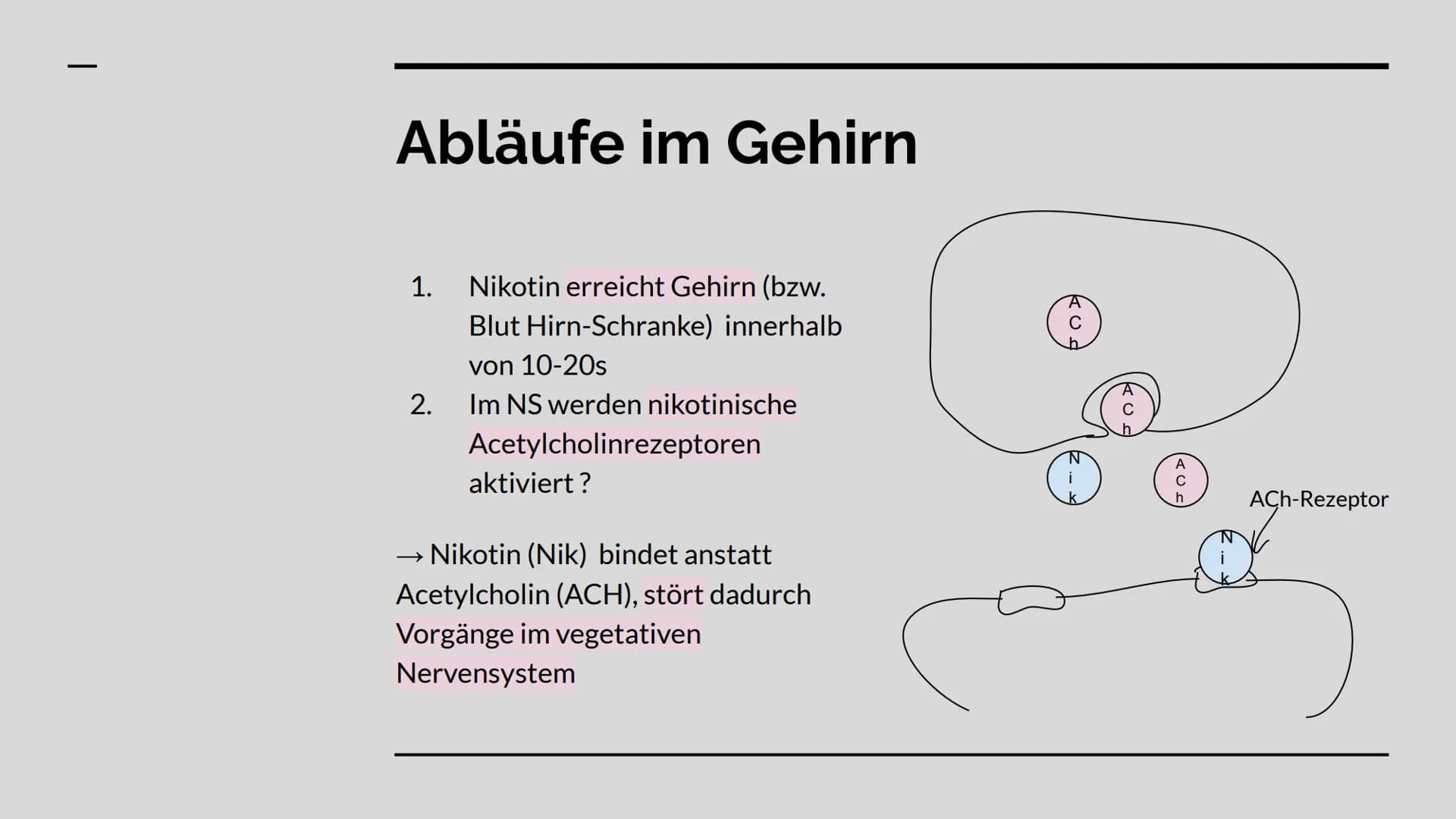 Das Nervengift
Nikotin GLIEDERUNG
WAS IST NIKOTIN? +
VERWENDUNG
ABLÄUFE IM GEHIRN
WIRKUNG
RISIKEN + GESUNDHEITLICHE
FOLGEN Was ist Nikotin
ü