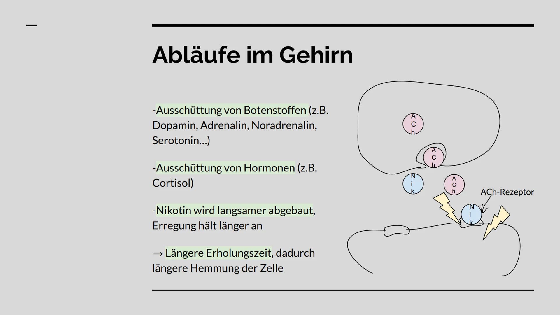 Das Nervengift
Nikotin GLIEDERUNG
WAS IST NIKOTIN? +
VERWENDUNG
ABLÄUFE IM GEHIRN
WIRKUNG
RISIKEN + GESUNDHEITLICHE
FOLGEN Was ist Nikotin
ü