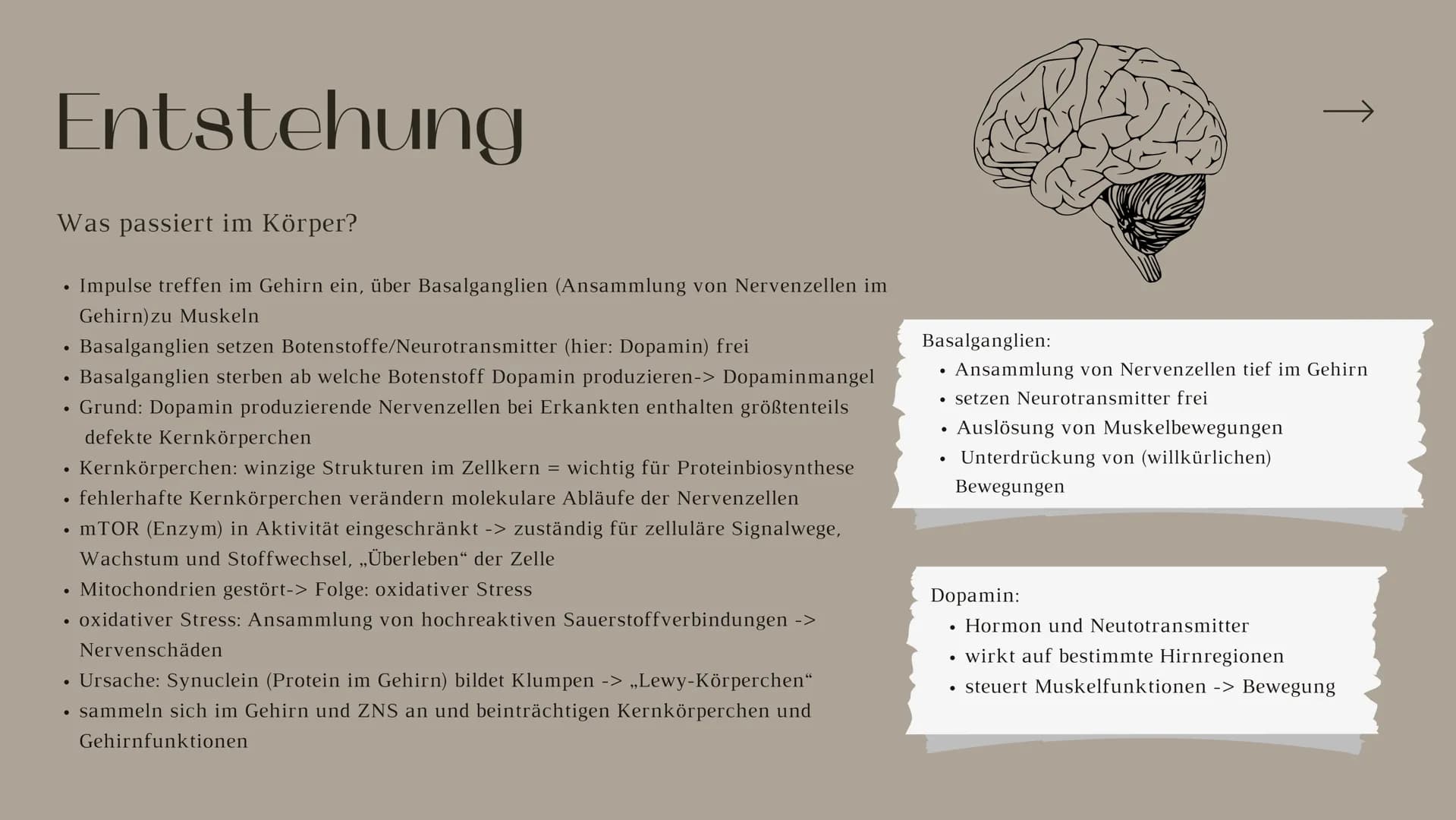 Bilogie Q2 LEhM
Parkinson
Präsentation von Sophie Priesel
т ITO
Inhaltsverzeichnis
Behandelte Themen
1. Allgemeine Informationen
2. Entstehu