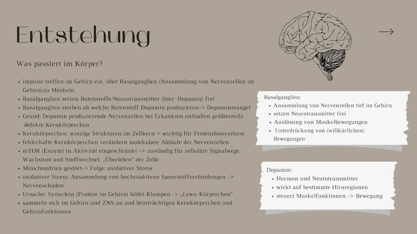 Bilogie Q2 LEhM
Parkinson
Präsentation von Sophie Priesel
т ITO
Inhaltsverzeichnis
Behandelte Themen
1. Allgemeine Informationen
2. Entstehu